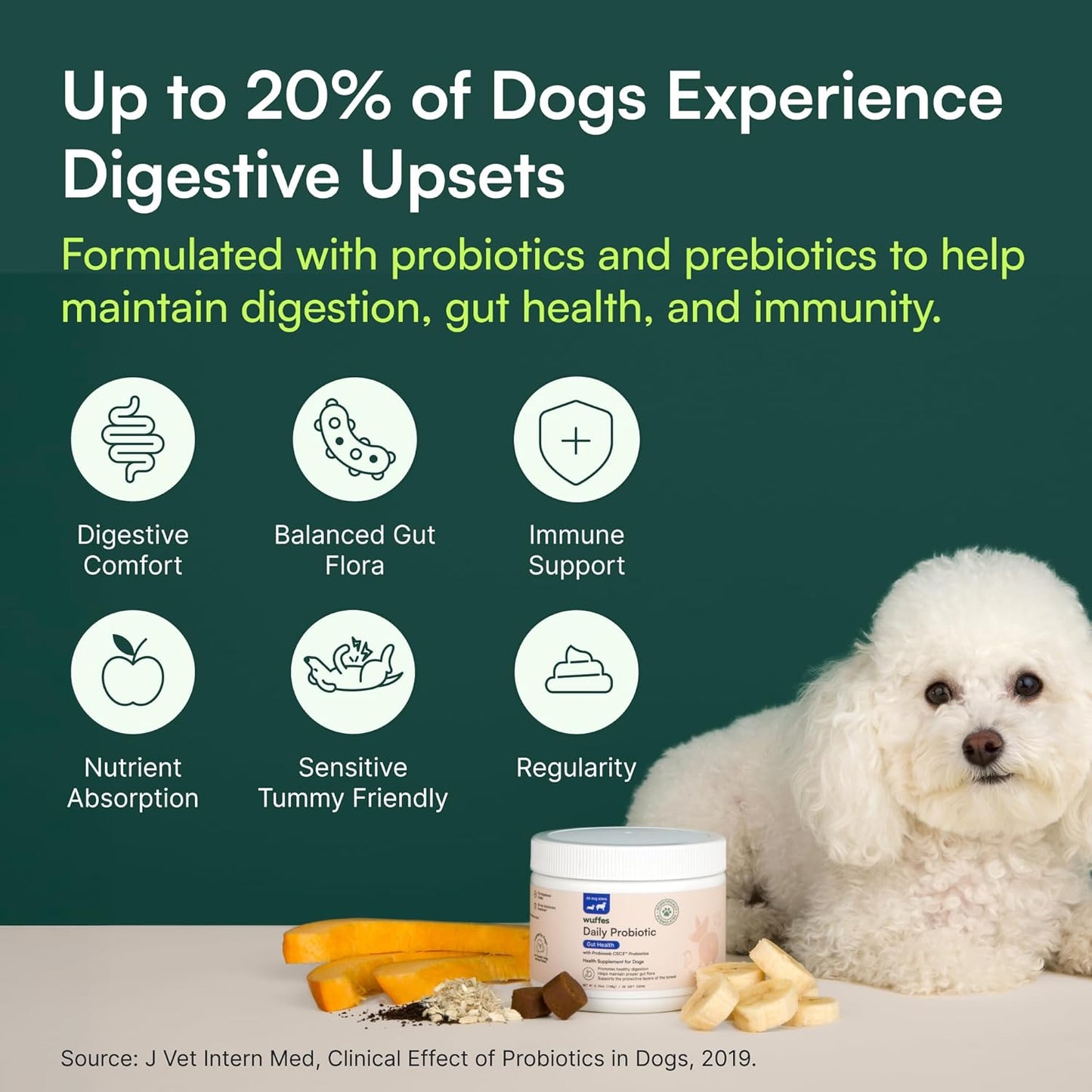 Wuffes Daily Probiotic for Dogs - Supports Digestive Health, Gut Balance, and Immune System - with Prebiotics, Marshmallow Root, and Pumpkin Powder - 60 Soft Chews