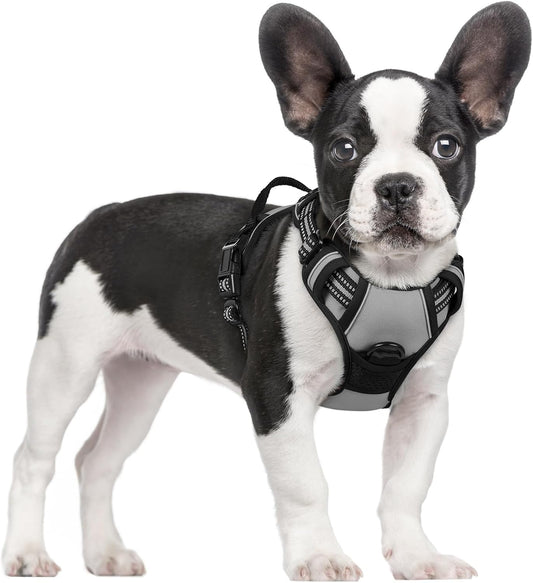 rabbitgoo Dog Harness No Pull with 2 Leash Clips, Adjustable Soft Padded, Reflective Oxford No Choke Pet Vest with Easy Control Handle for Small Dogs, Grey, S