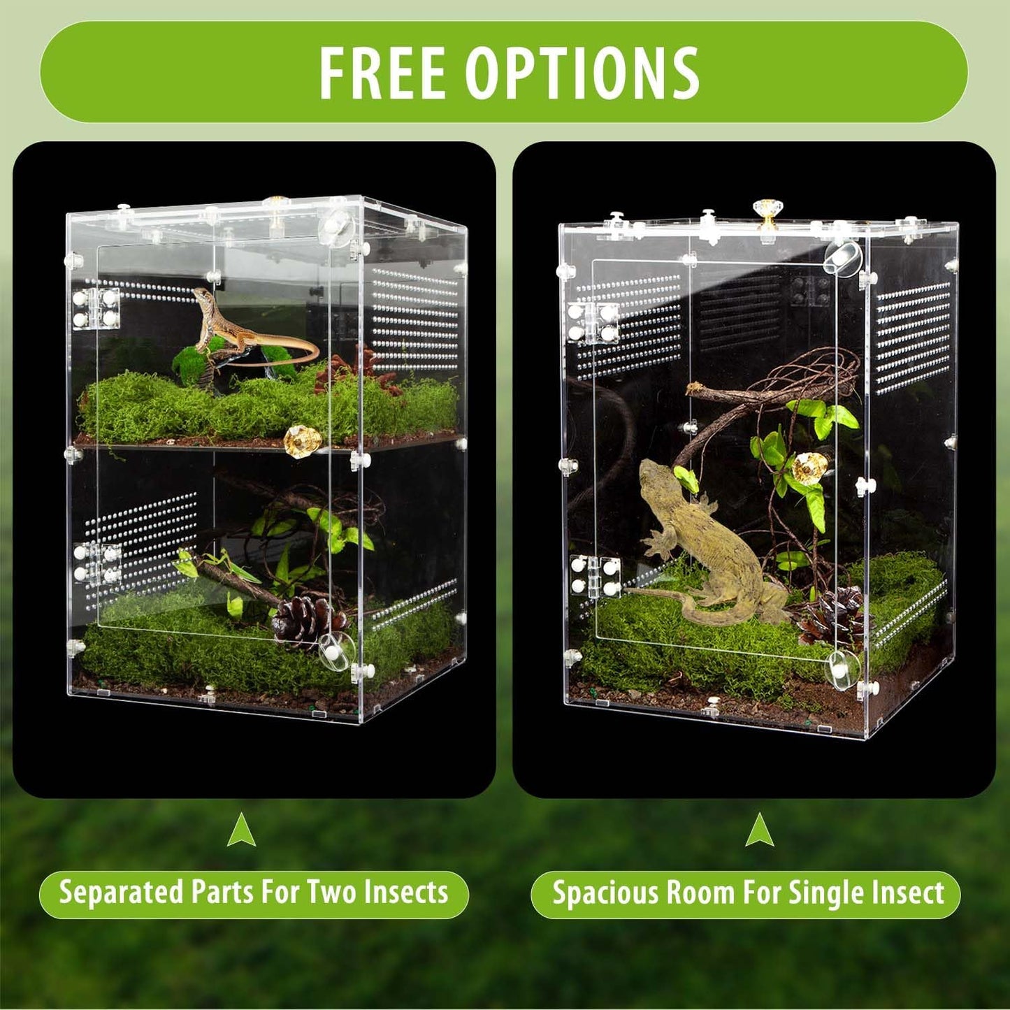 Large Jumping Spider Enclosure, 2 in 1 Acrylic Reptile Terrarium for Praying Mantis,Arboreal Tarantula,Frogs,Snails, 12"*8"*8" Breeding Habitat with Front & Top Opening Doors and Vent Holes