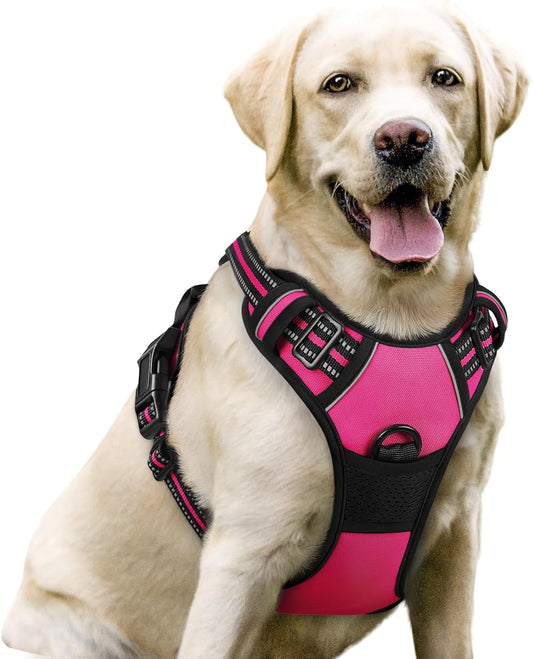 rabbitgoo Dog Harness No Pull with 2 Leash Clips, Adjustable Soft Padded, Reflective Oxford No Choke Pet Vest with Easy Control Handle for Large Dogs, Hot Pink, L