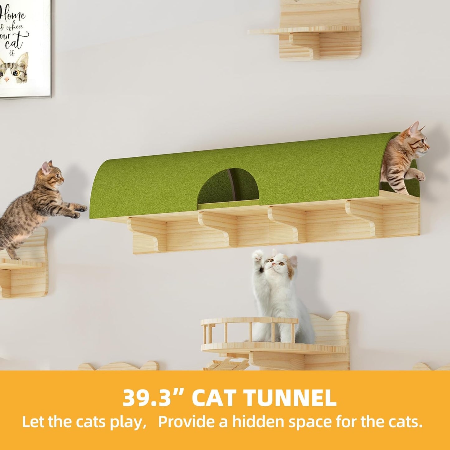 Cat Wall Shelves, Cat Wall Furniture Pine Wooden Feline Shelf, 16 Piece Feline Shelves and Perches with Condos, House, Steps, Bridge Ladder, Scratching Post and Tunnel