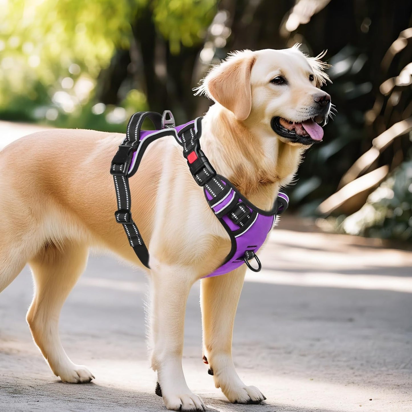 Timos Dog Harness Large Sized, No Pull with Neck Lockable Snap,No Choke Front Clip Dog Reflective Harness,Adjustable Metal Rings 3 Buckles,Easy Control Handle for Large Dogs Purple L