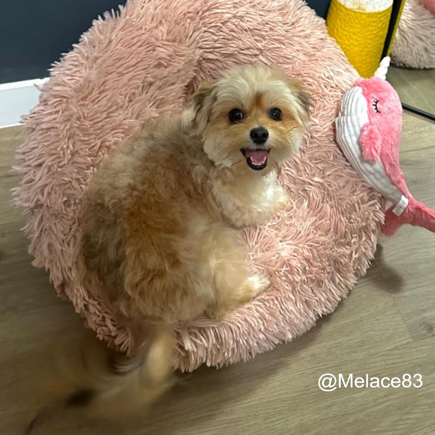 BABORUI Interactive Dog Toys Whale, Squeaky Dog Toys, Rechargeable Moving Dog Chew Toys for Small/Medium/Large Dogs/Puppy to Keep Them Busy (Pink)