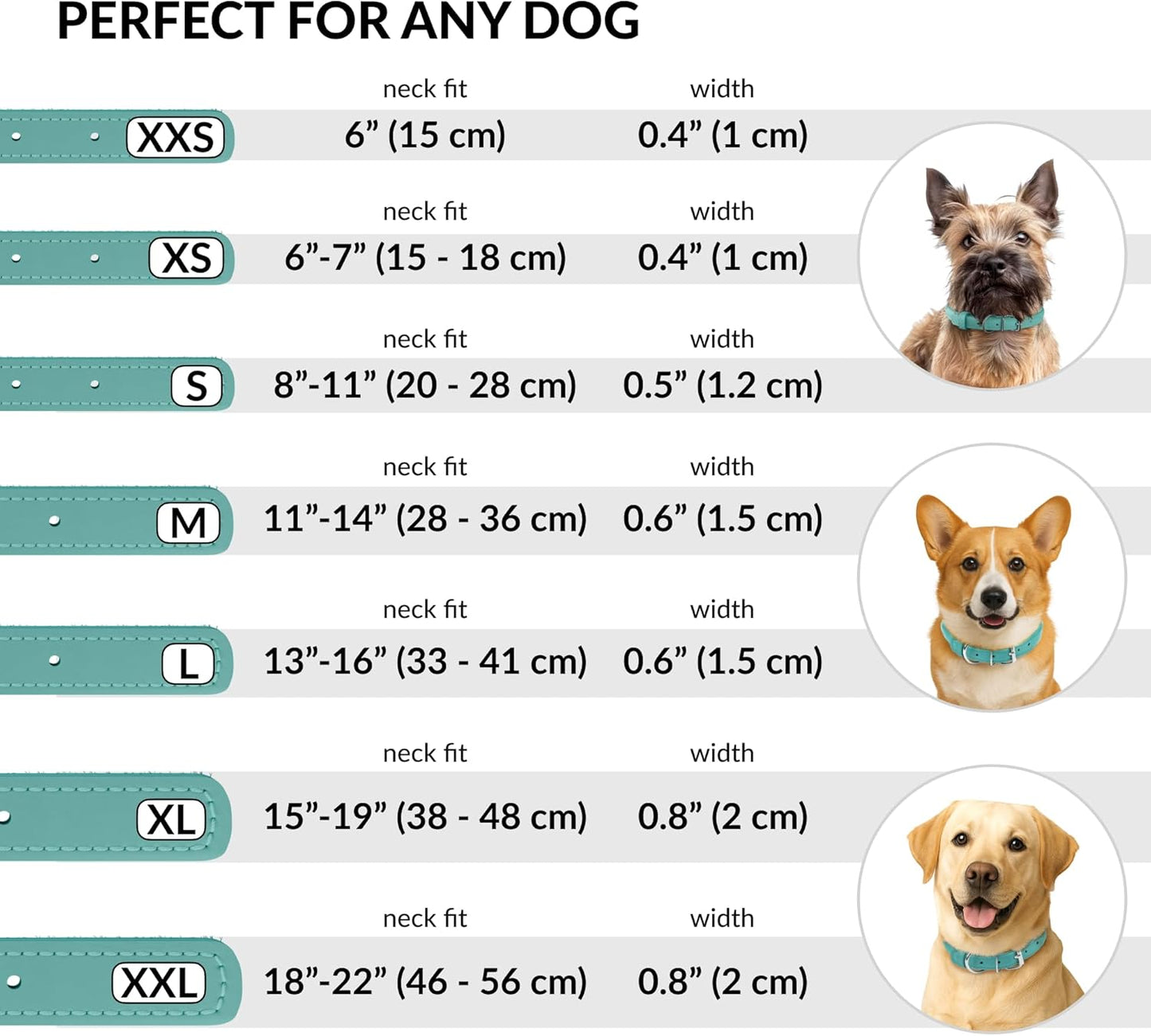 CollarDirect Rolled Leather Dog Collar, Soft Padded Round Puppy Collar, Handmade Genuine Leather Collar Dog Small Large Cat Collars 13 Colors (18-22 Inch, Mint Green Smooth)