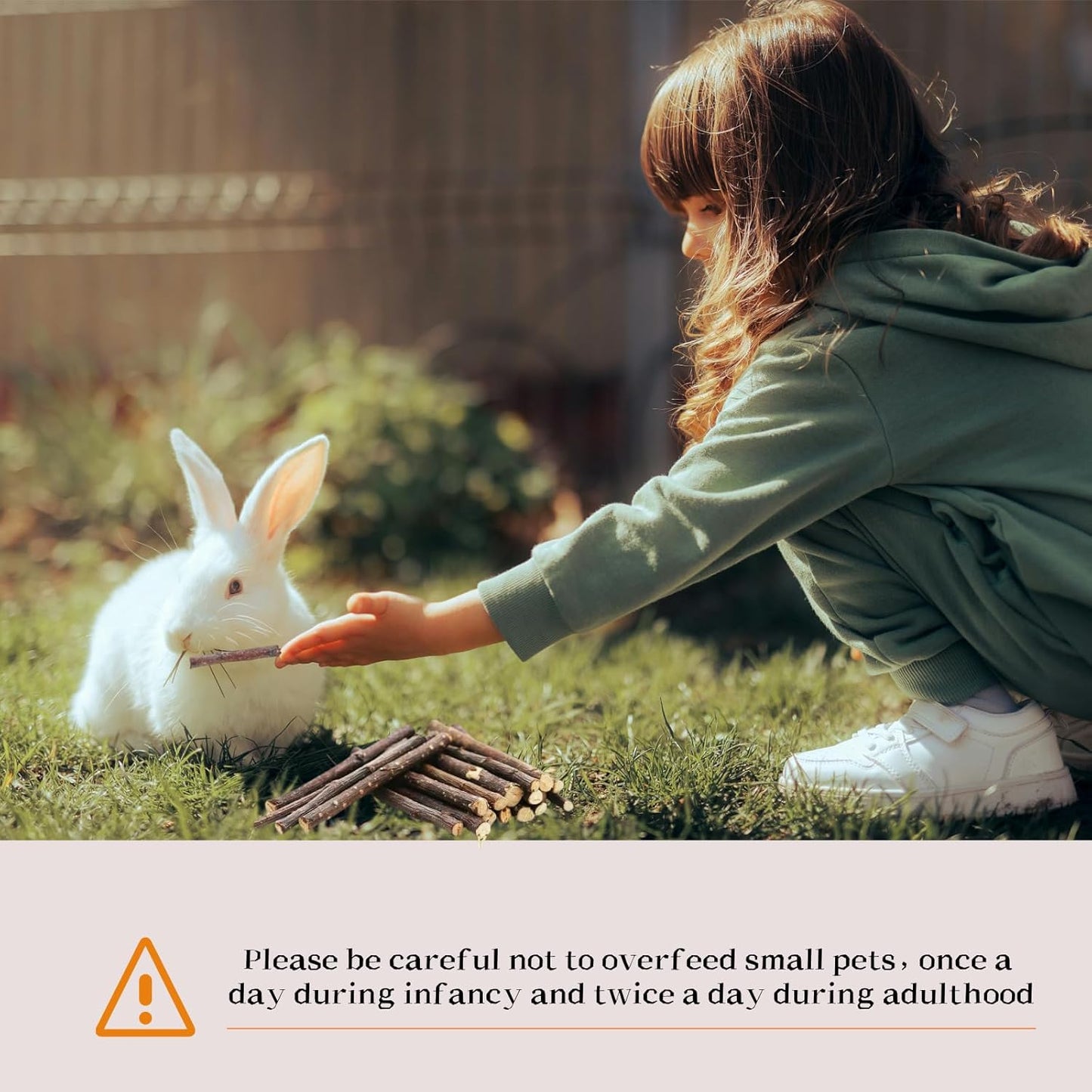 Natural Apple Wood Chew Sticks for Rabbits, Hamsters, Chinchillas, Guinea Pigs - Small Animal Dental Toys for Teeth Grinding & Boredom Relief, Safe Untreated Chew Treats, 350g (12.3oz)