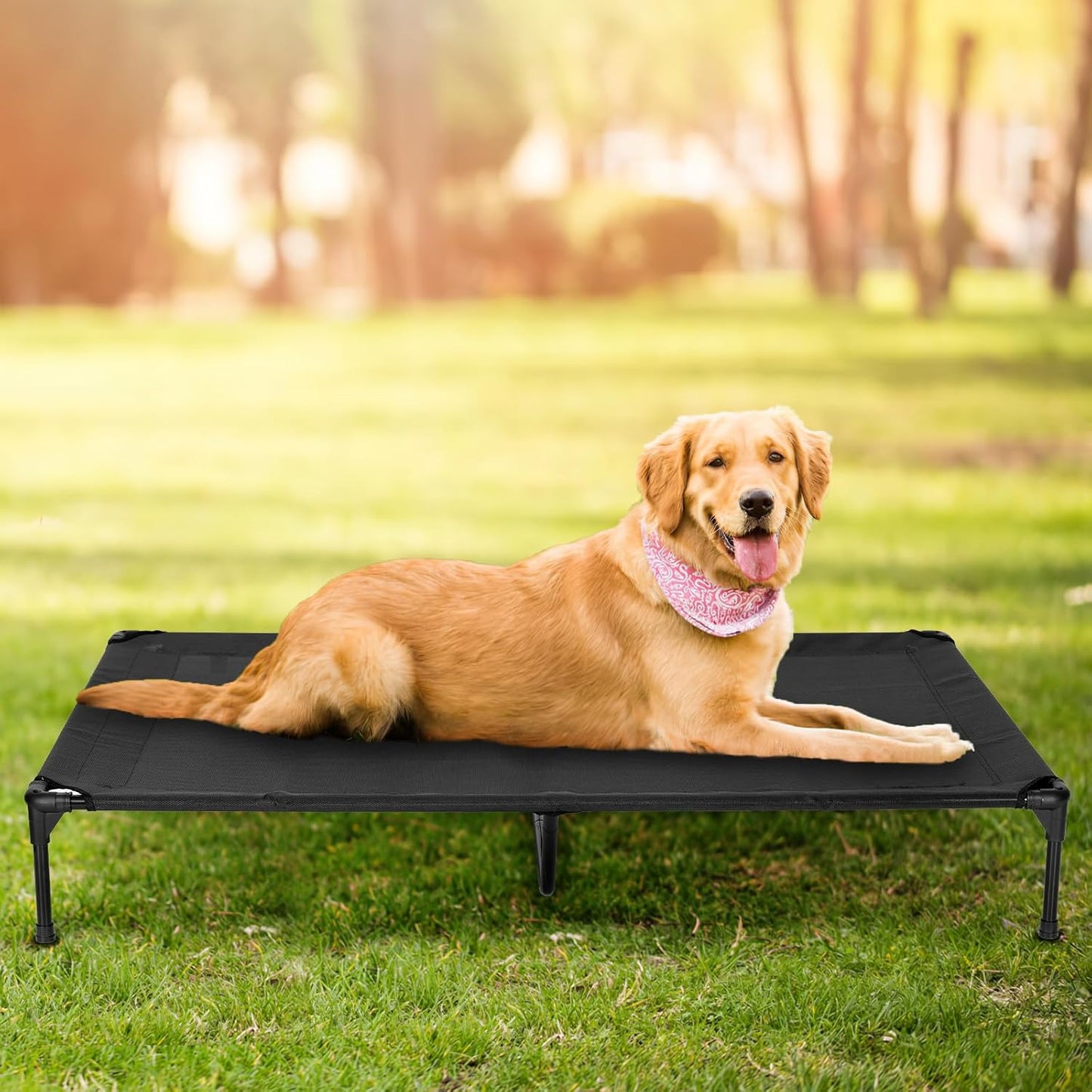 Elevated Dog Bed for Outdoor, XL Raised Dog Cot with Washable Mesh, Cooling Pet Cot Chew Proof for Outside Camping, 49"x33" Brown