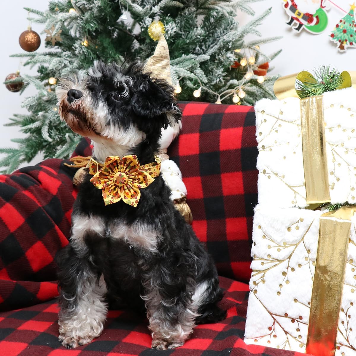 Lionet Paws Thanksgiving Day Dog Collar with Flower, Dogs Flower Collar with Metal Buckle for Dogs, Adjustable Comfortable Dog Collars Girl, L, Neck 16-24 in