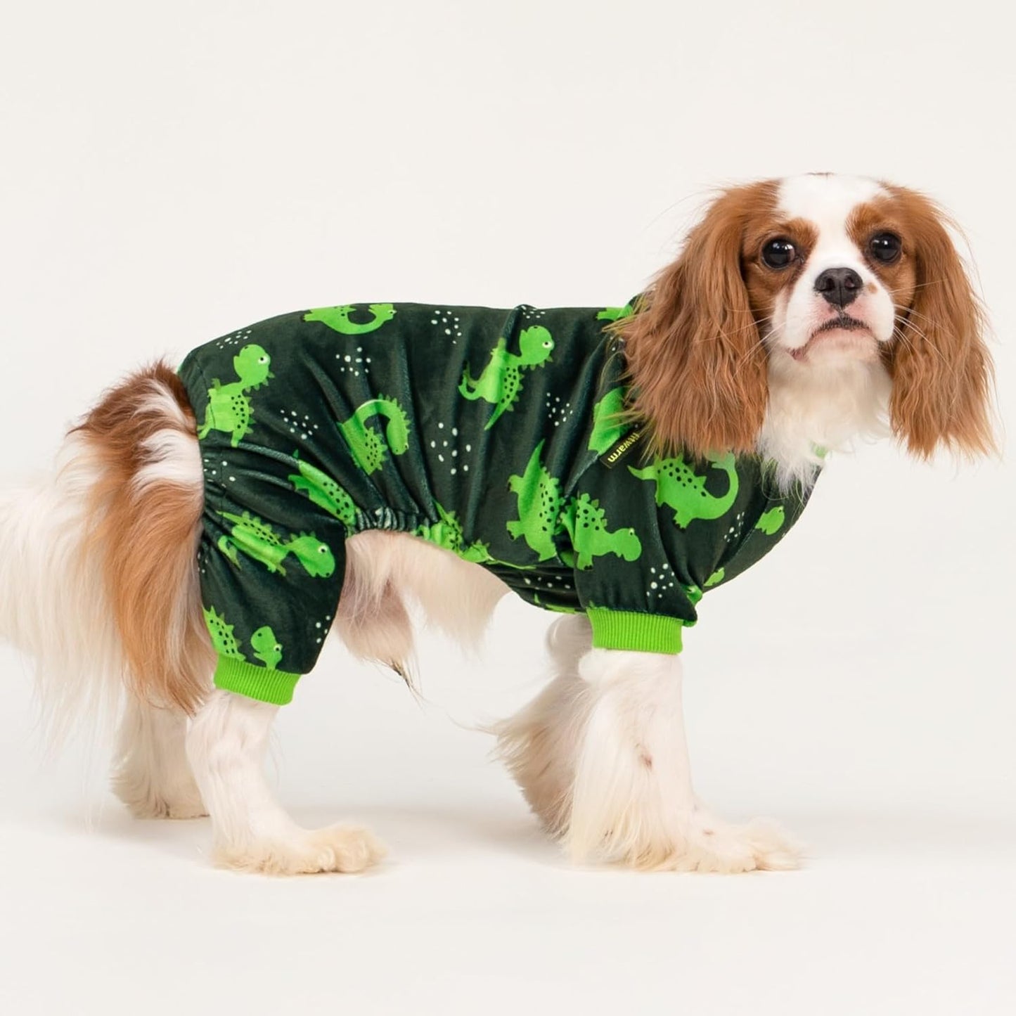 Fitwarm Dinosaur Dog Fleece Pajamas, Warm Clothes for Small Dogs Boy, Cozy Pet Onesie with Feet, Dark Green, Bright Green, XS