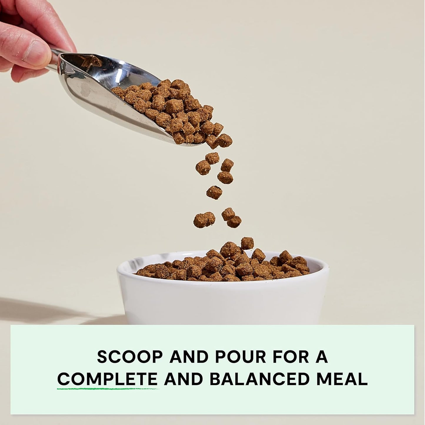 Open Farm, Grain-Free Dry Dog Food for Senior Dogs, Complete & Balanced Kibble to Support Joints & Mobility, Sustainably & Ethically Sourced Ingredients, Chicken & Turkey Recipe for Seniors, 4lb Bag