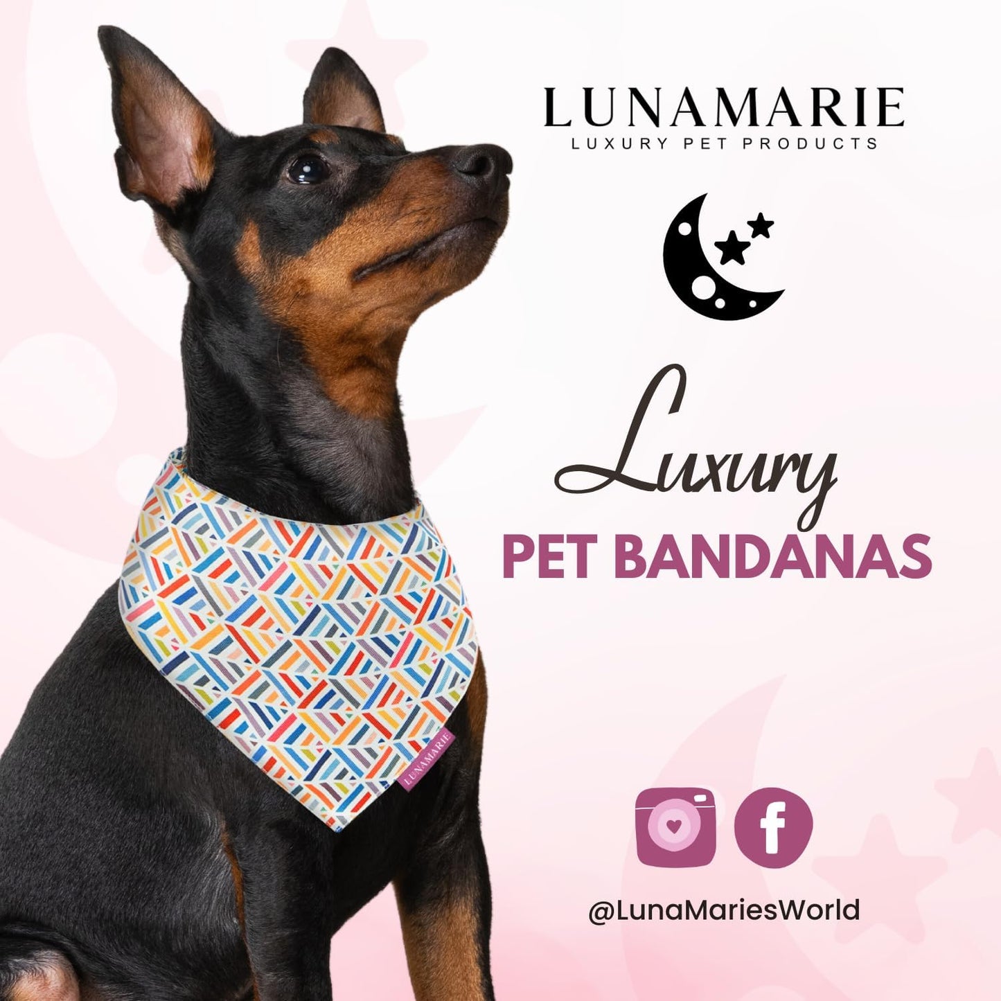 LunaMarie - Luxury Pet Birthday Bandanas -Premium & Silky Poly Fabric | 100% Handmade | Custom Shape Dual Layered (Xena, Large)
