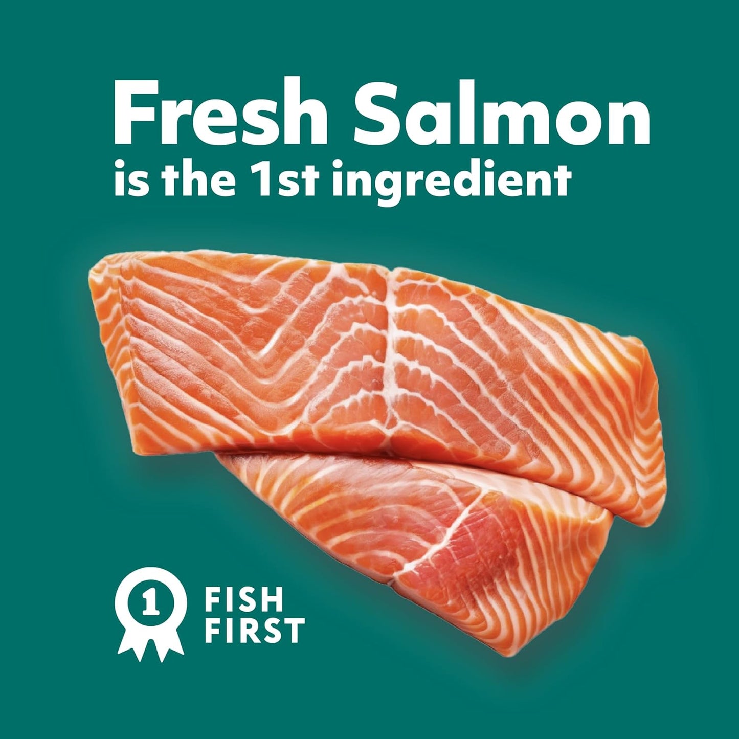 OPtimeal Skin & Sensitive Stomach Cat Food - Proudly Ukrainian - Healthy Cat Food Dry Recipe for Skin & Digestive Support, Tasty Dry Cat Food for Pets (8.8 lbs, Salmon & Brown Rice)