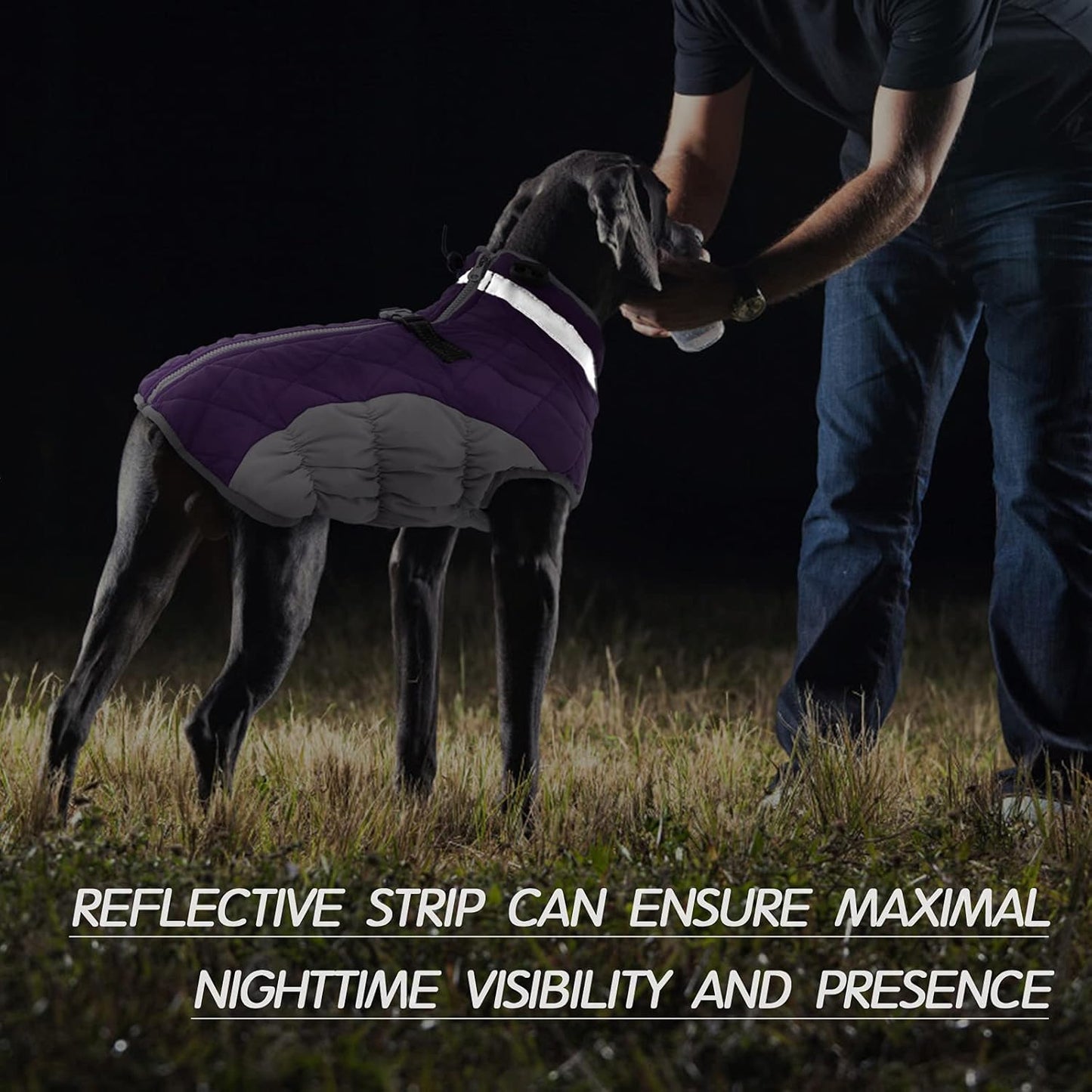 FUAMEY Dog Coat for Large Dogs,Waterproof Dog Winter Jacket with Harness Built in Puppy Cold Weather Coats Reflective Pet Vest with Zipper Warm Fleece Dogs Snowsuit Windproof Purple L