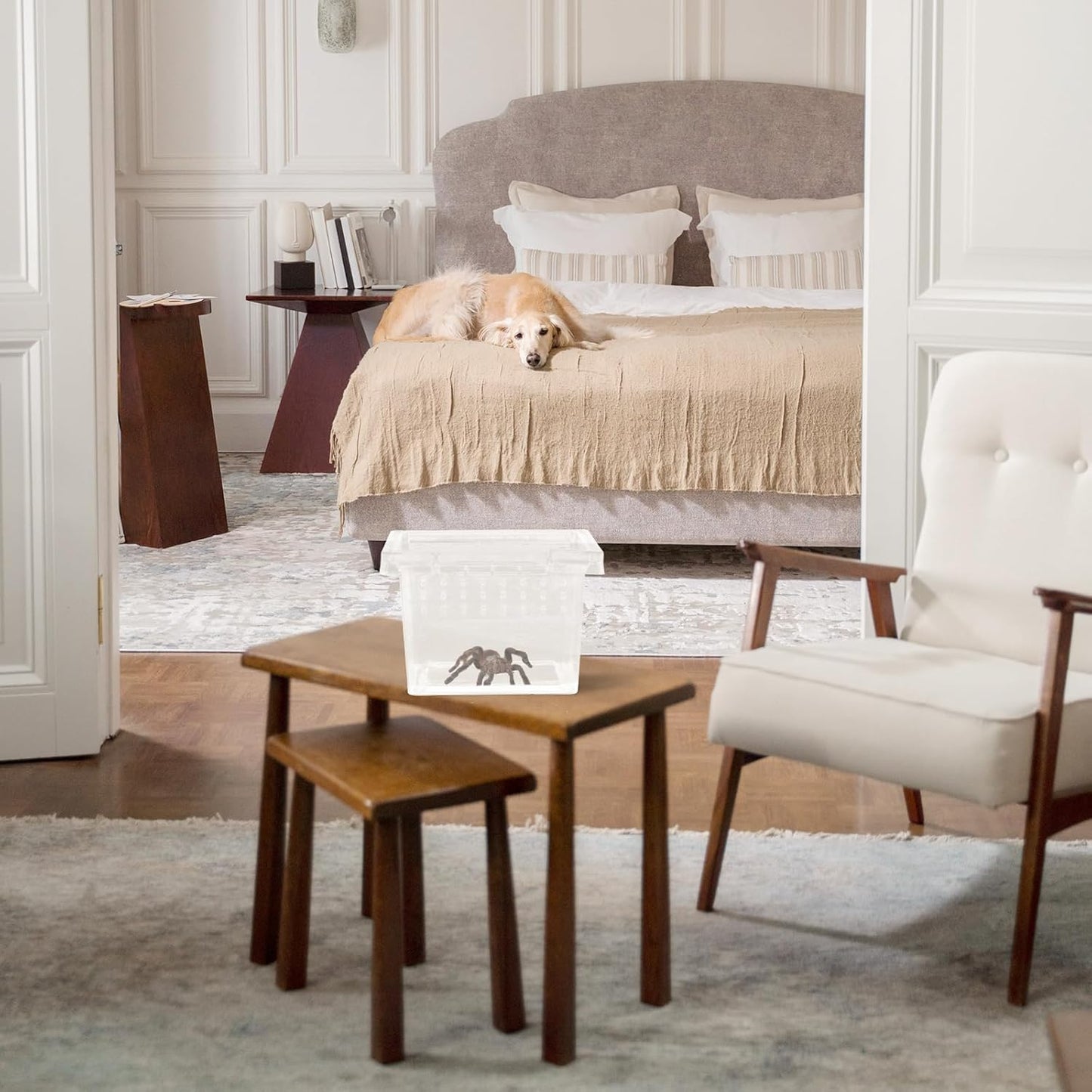 FRCOLOR Box Rearing Box Turtle Transport Container Frog Enclosure Mini Critter Keeper Transparent Animal Habitat Cage Hatching Container Hermit Crab Tank Plastic Glass Turtle Tank