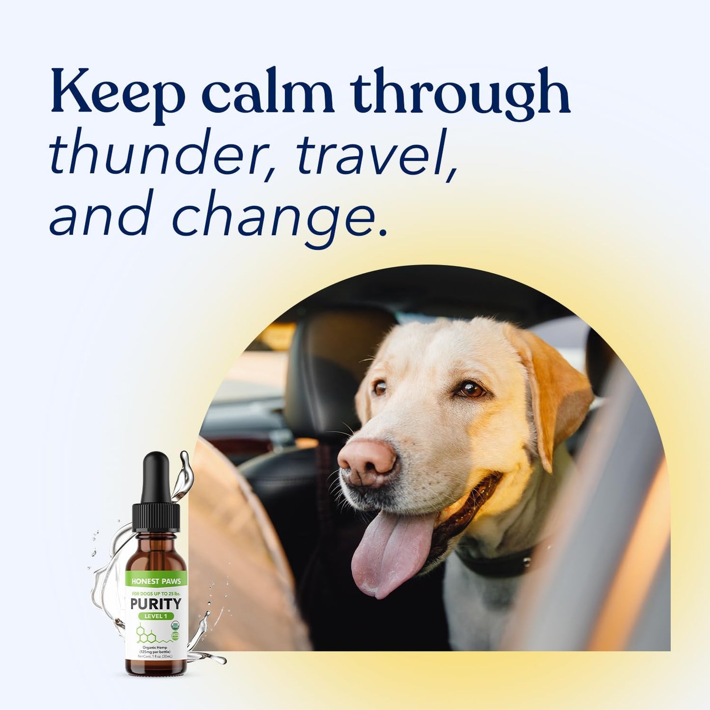 Honest Paws Hemp Oil for Dogs - Natural Hemp Seed Oil Calming Purity Drops for Dogs - Rich in Omega 3 6 9 to Promote Healthy Bones, Joint Support, Relaxation, Managing Normal Stress - Made in The USA