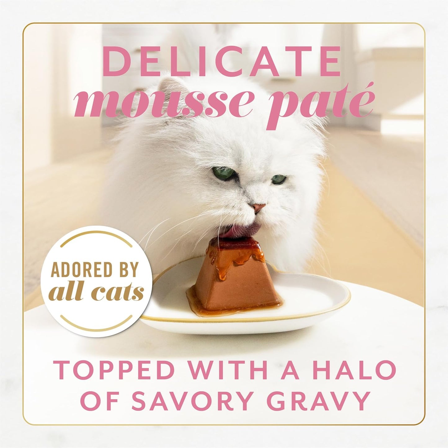 Fancy Feast Gems Pate Cat Food Mousse With Salmon and a Halo of Savory Gravy Cat Food - (Pack of 8) 4 oz. Boxes