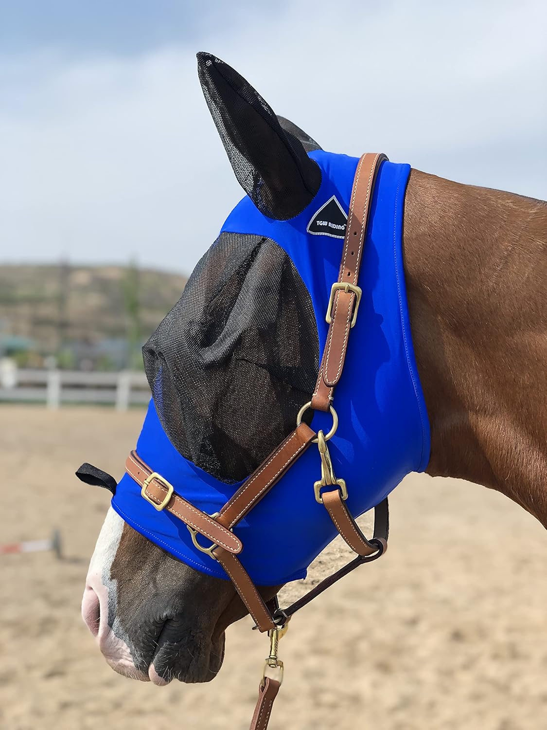 Horse Fly Mask Super Comfort Horse Fly Mask Elasticity Fly Mask with Ears We Only Make Products That Horses Like… (Royal Blue, M)
