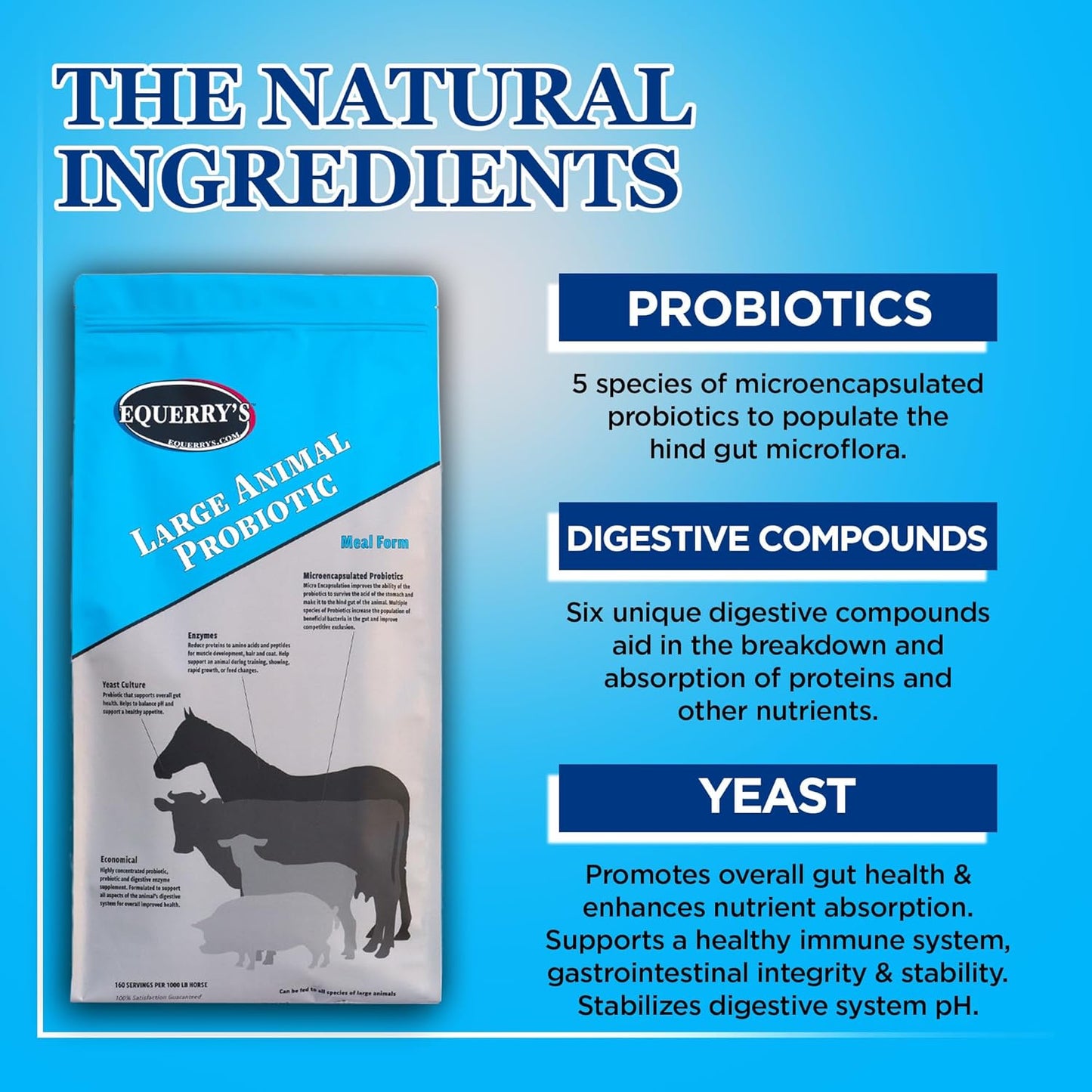 Equerry's Large Animal Probiotic | Supplements for Gut Health and Nutrient Absorption | Probiotics and Digestive enzymes for Horses, Cows, Goats, Sheep, Pigs, 160 Feedings (20lbs) for 1000 lb Animal