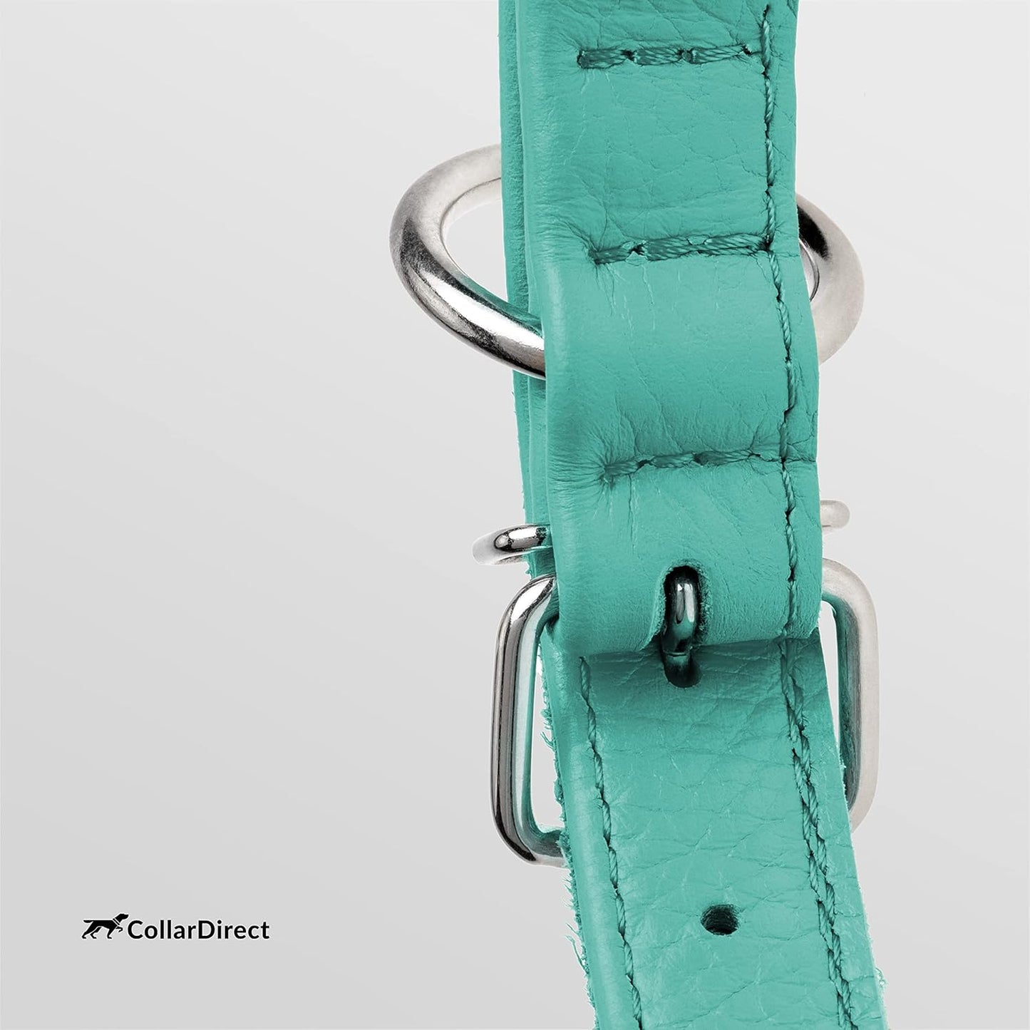 CollarDirect Rolled Leather Dog Collar, Soft Padded Round Puppy Collar, Handmade Genuine Leather Collar Dog Small Large Cat Collars 13 Colors (15-19 Inch, Mint Green Textured)
