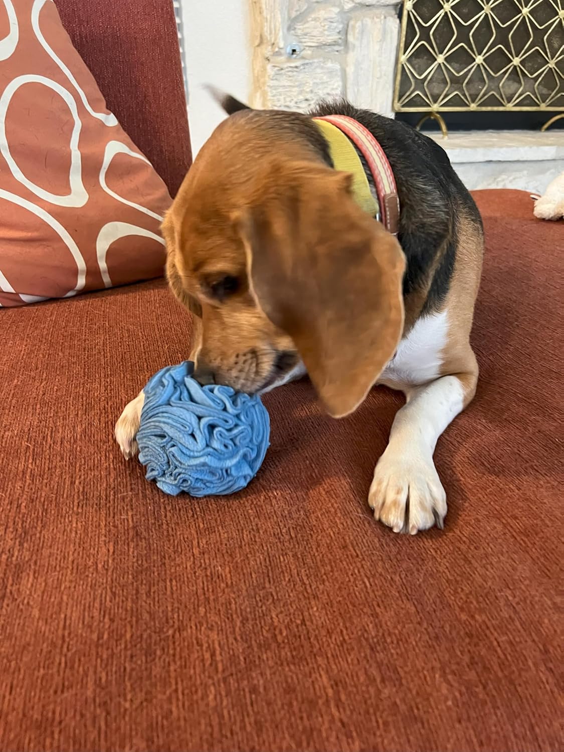 Glory To Dog Puppy and Small Breed Snuffle Interactive Foraging Dog Puzzle Ball Toy Blue Small