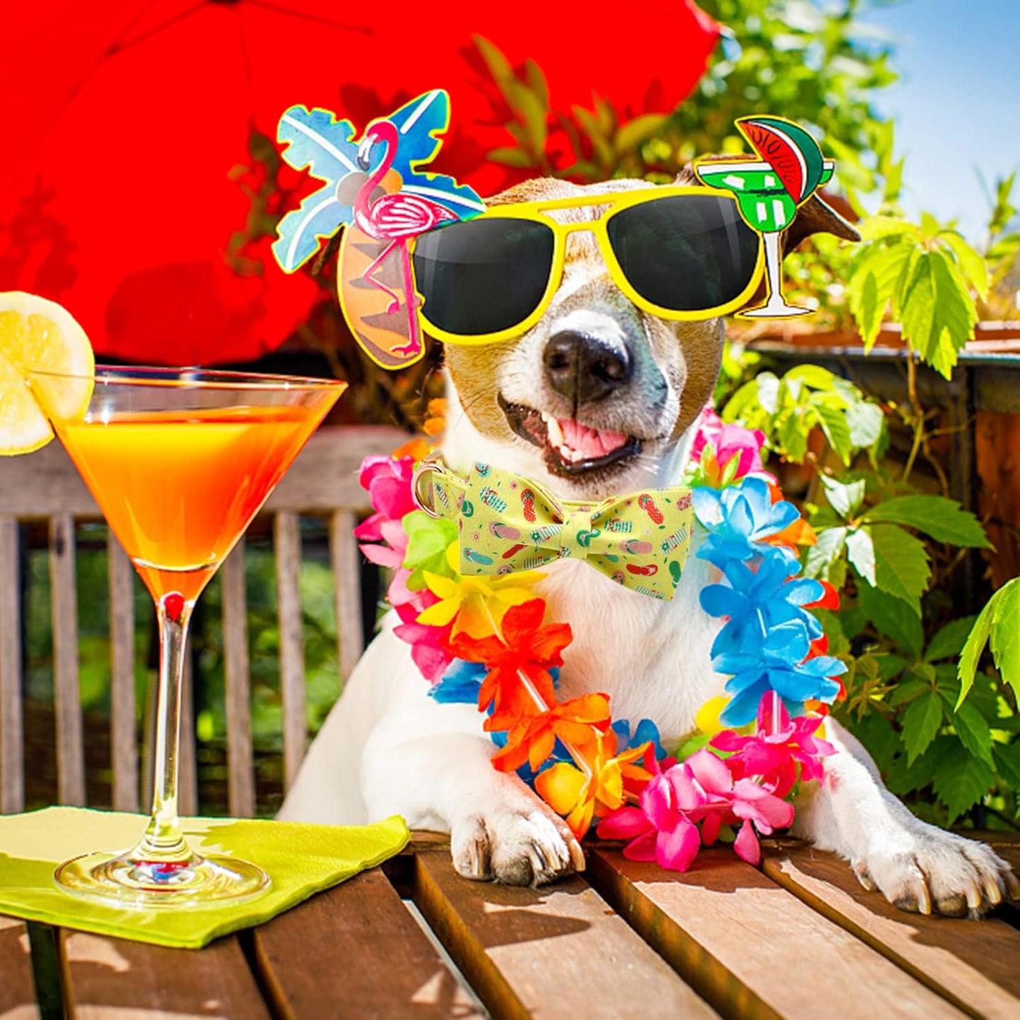 Elegant Little Tail Bowtie Dog Collar for Small to Large Dogs