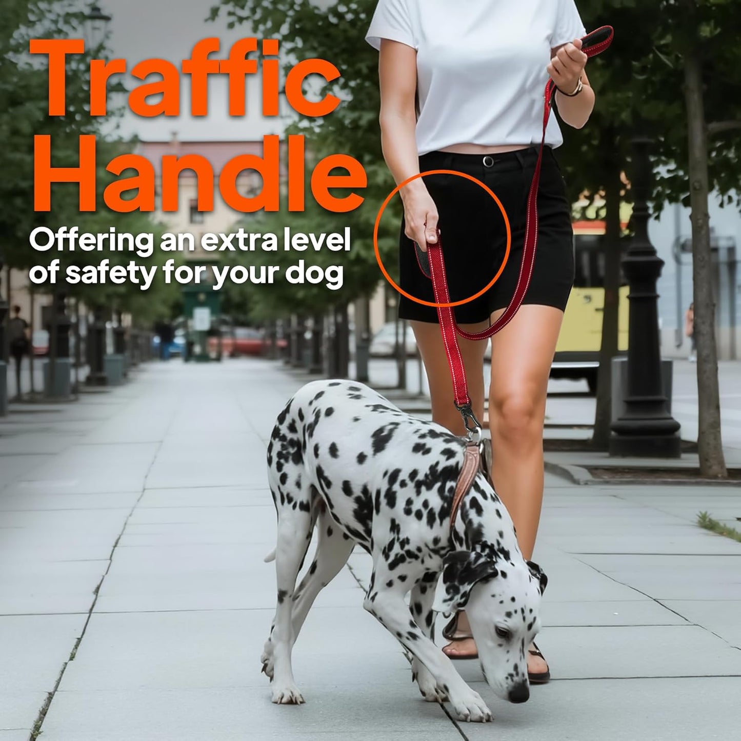 TwoEar 6FT 1IN Strong Green Dog Leash with 2 Padded Handles, Traffic Handle Extra Control, Comfortable Soft Dual Handle, Auto Lock Hook, Reflective Walking Lead for Small Medium and Large Dogs