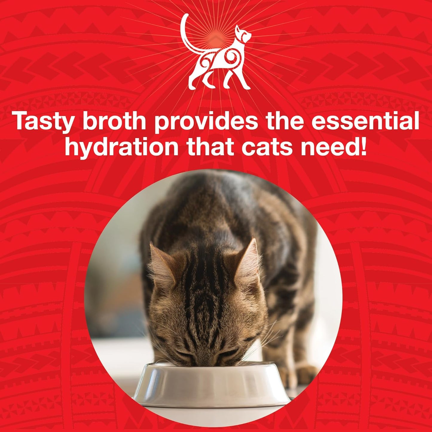 KOHA Pure Shreds Beef Entrée for Cats, Single Meat High Protein Wet Cat Food, 5.5oz Cans (Pack of 12)