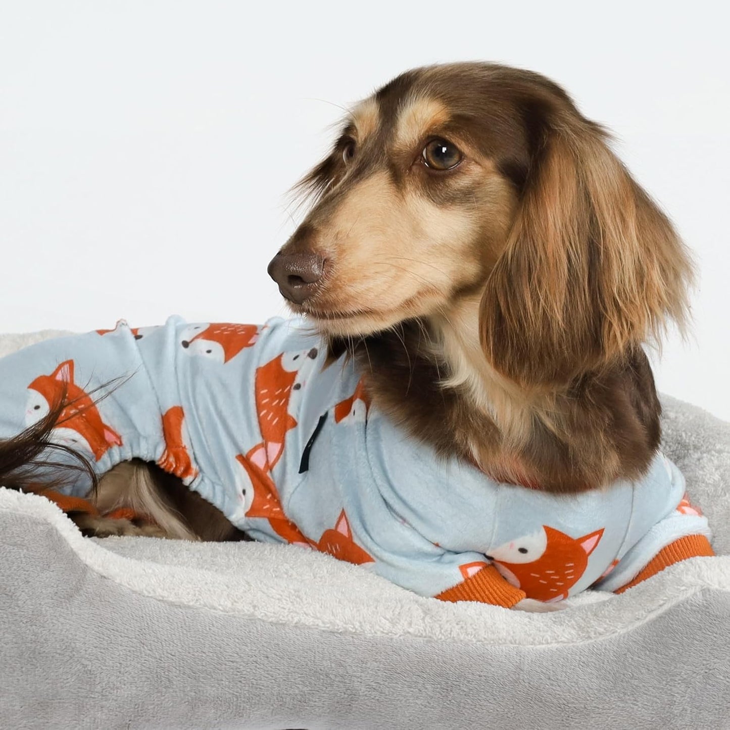 Fitwarm Funny Fox Dog Pajamas, Warm Dog Onesie, Dog Clothes for Small Dogs Girl Boy, Lightweight Velvet, Pet Outfit, Gray, Orange, Small