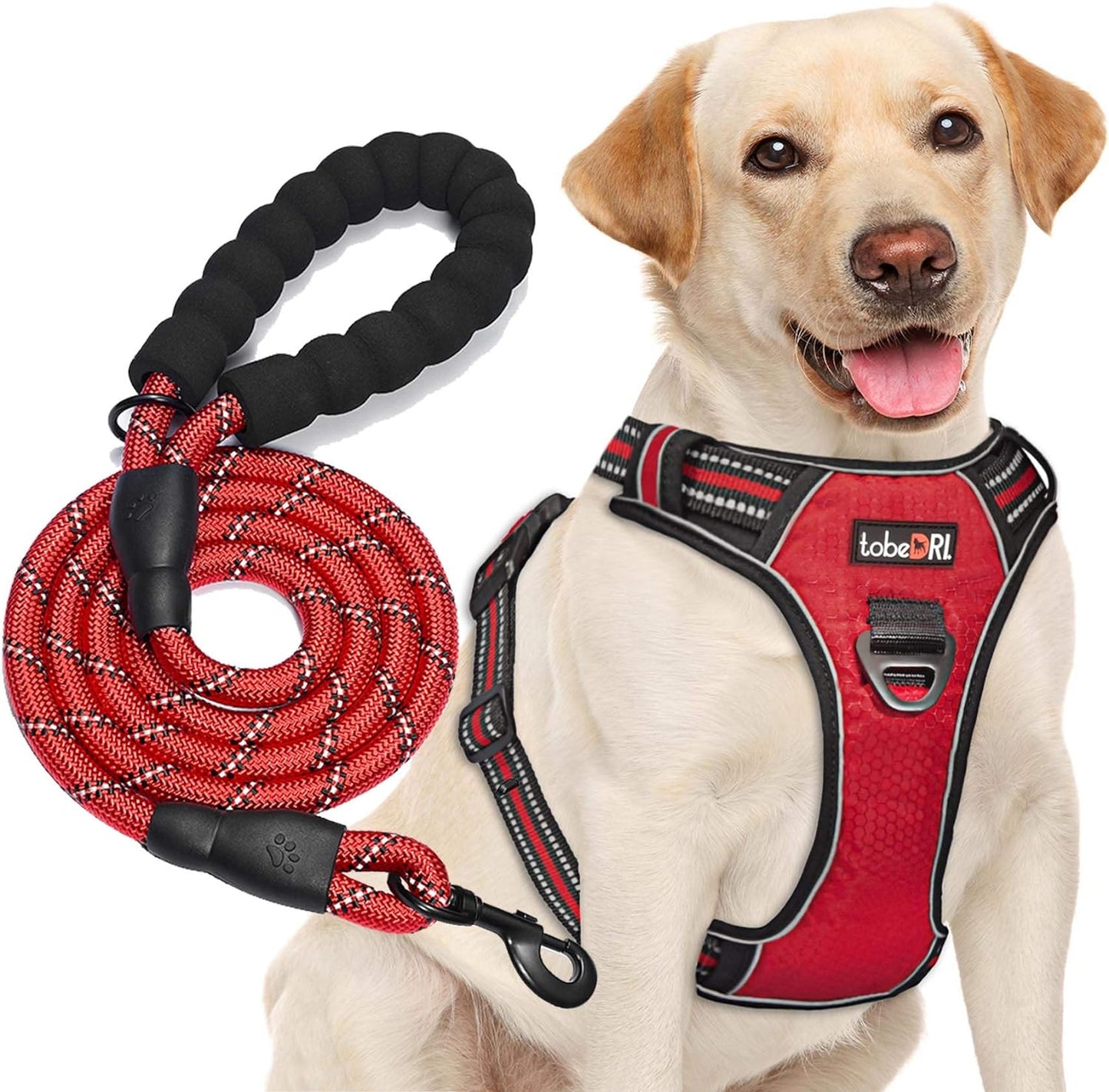 No Pull Dog Harness Adjustable Reflective Oxford Easy Control Medium Large Dog Harness with A Free Heavy Duty 5ft Dog Leash (S (Neck: 14"-17", Chest: 18"-21"), Red Harness+Leash)