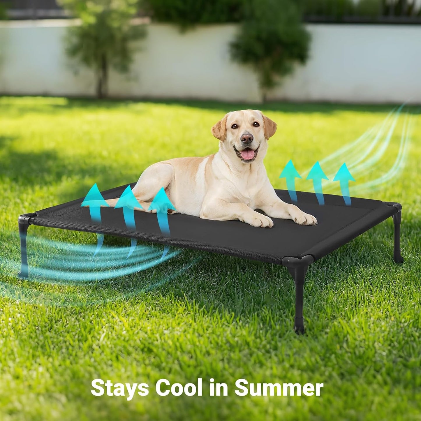 Veehoo Outdoor Elevated Dog Cot Bed, Cooling Raised Pet Bed for Large Dogs, Washable Breathable Mesh Hammock Bed with No-Slip Feet, Indestructible Ground Off Training Platform Cot-42"x30" Black Silver