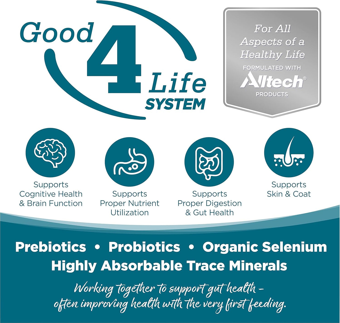 NutriSource Adult Dog Food, Made with Chicken and Rice, with Wholesome Grains, 15LB, Dry Dog Food