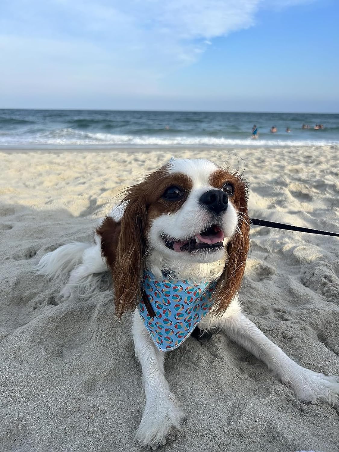 Lionet Paws Dog Bandana,Fabric Summer Dogs Kerchief for Medium Large Dogs,Dog Cotton Triangle Bibs Scarf for Girl Boy