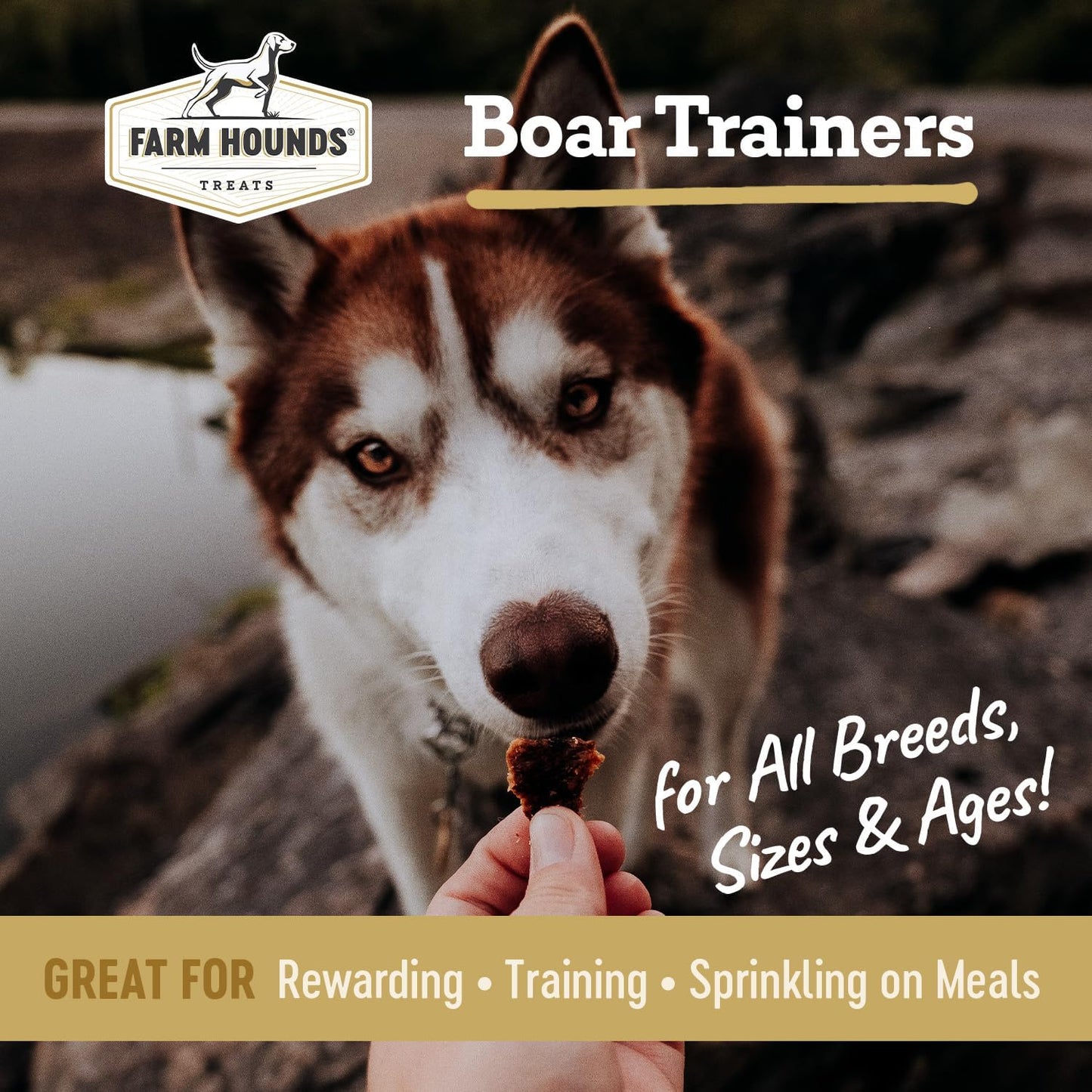 Farm Hounds - Boar Trainers - Premium Natural Jerky for Dogs - from 100% Humanely Raised Boar - Easy-Break - Great for Training & Treats - No Added Fillers - Made in USA - 4.5 oz - 2 Pack