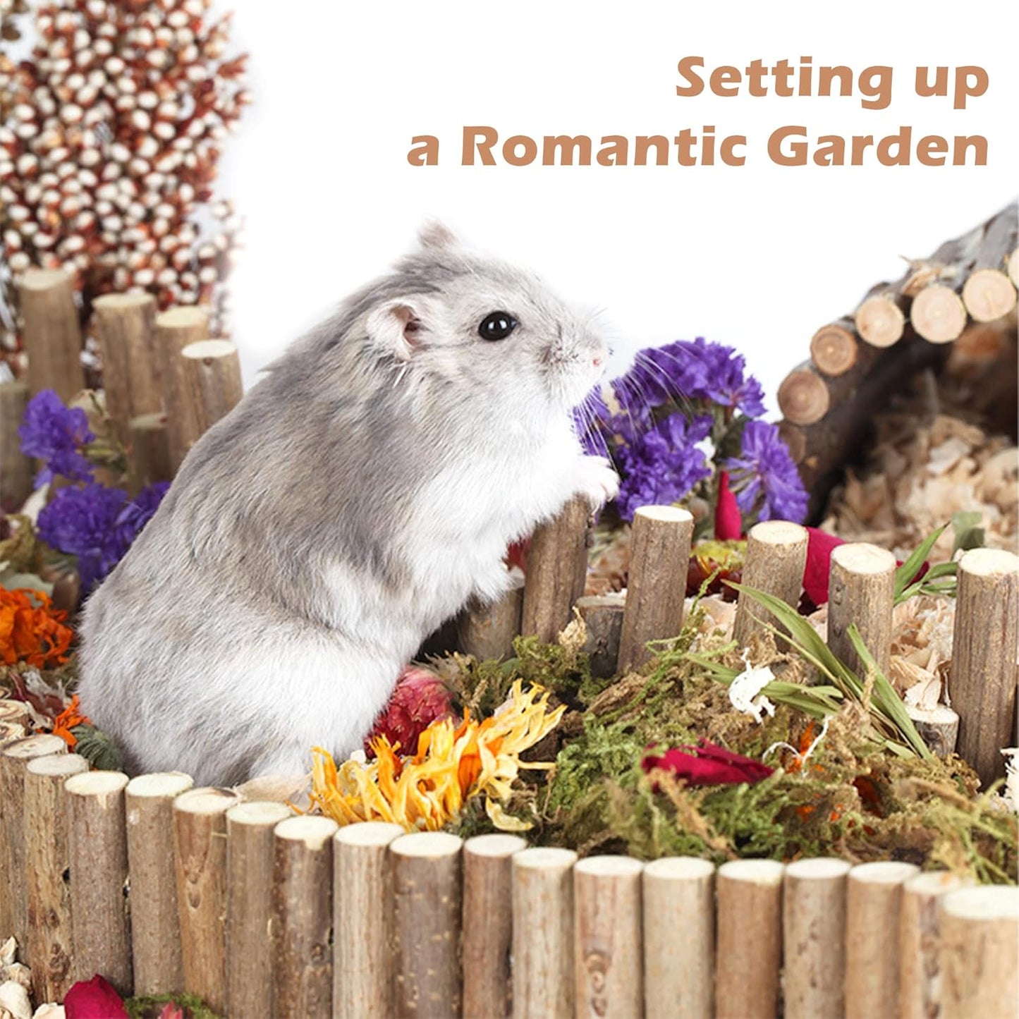 Natural Ear of Grain Flower&Herb Bedding Mate Habitat Decor, Adding Fun Hamster Accessories for Hamsters Gerbils Lemming