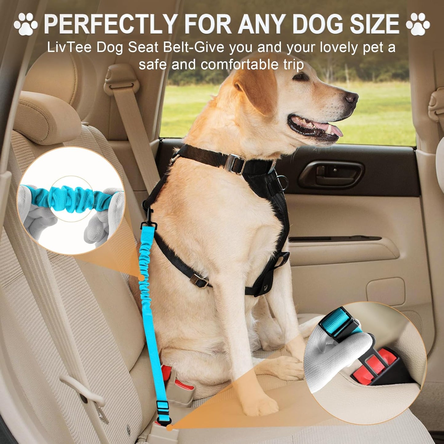 LivTee Dog Seat Belt for Car, Retractable Pet Safety Harness, Adjustable Nylon Dog Seatbelt Leash, Comfortable Dog Accessories for Vehicles (Teal-2PCS)