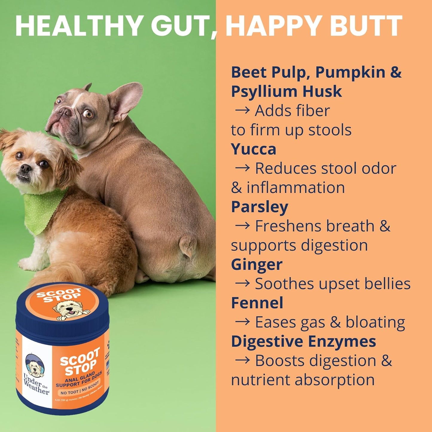 Under the Weather Scoot Stop Chews for Dogs | Vet Formulated No-Scoot for Dogs Supplement | Digestive & Anal Gland Support Support for All Breeds | 60 Count