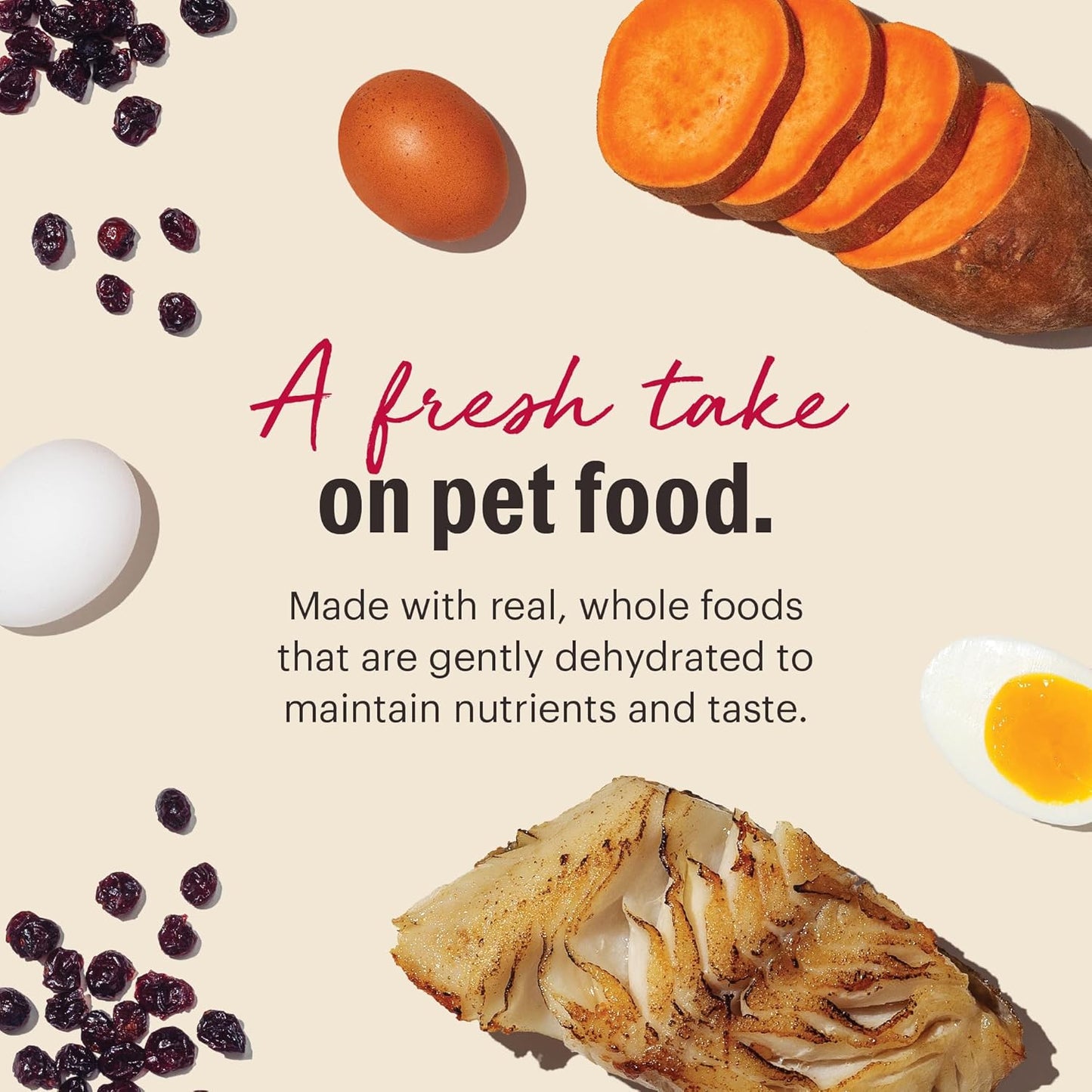 The Honest Kitchen Wholemade™ Grain Free Fish Dog Food, 4 lb Box