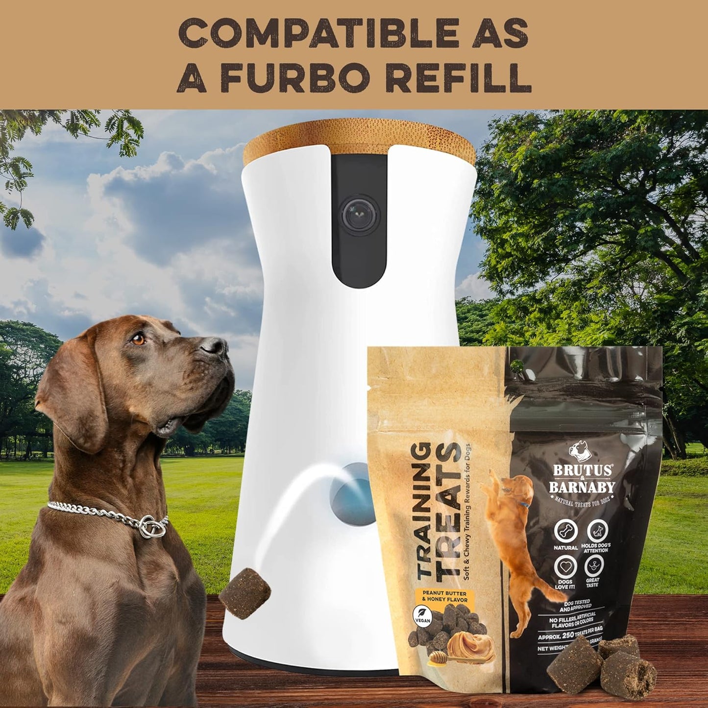 BRUTUS & BARNABY Training Treats for Dogs - Peanut Butter & Honey - All-Natural Healthy Low Calorie Vegetarian Treat - Great to Use for Rewards in Training Your Puppy Or Dog