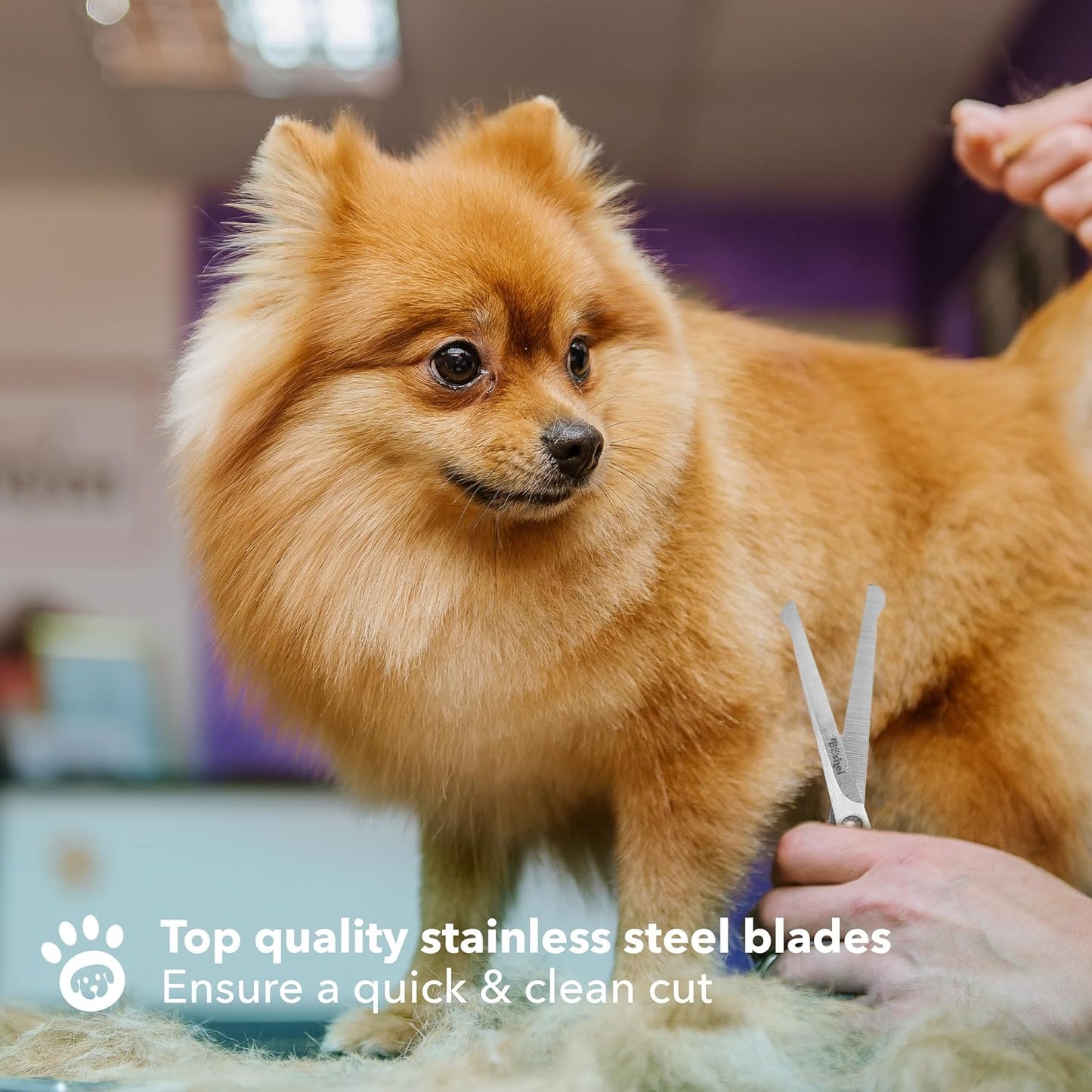 BOSHEL Dog Grooming Scissors for Dogs at Home (2 Pc) - Razor Sharp Stainless Steel Dog Scissors for Grooming - Professional Pet Scissor Set for Dogs & Cats - Best Pet Shears with Rounded Safety Tips