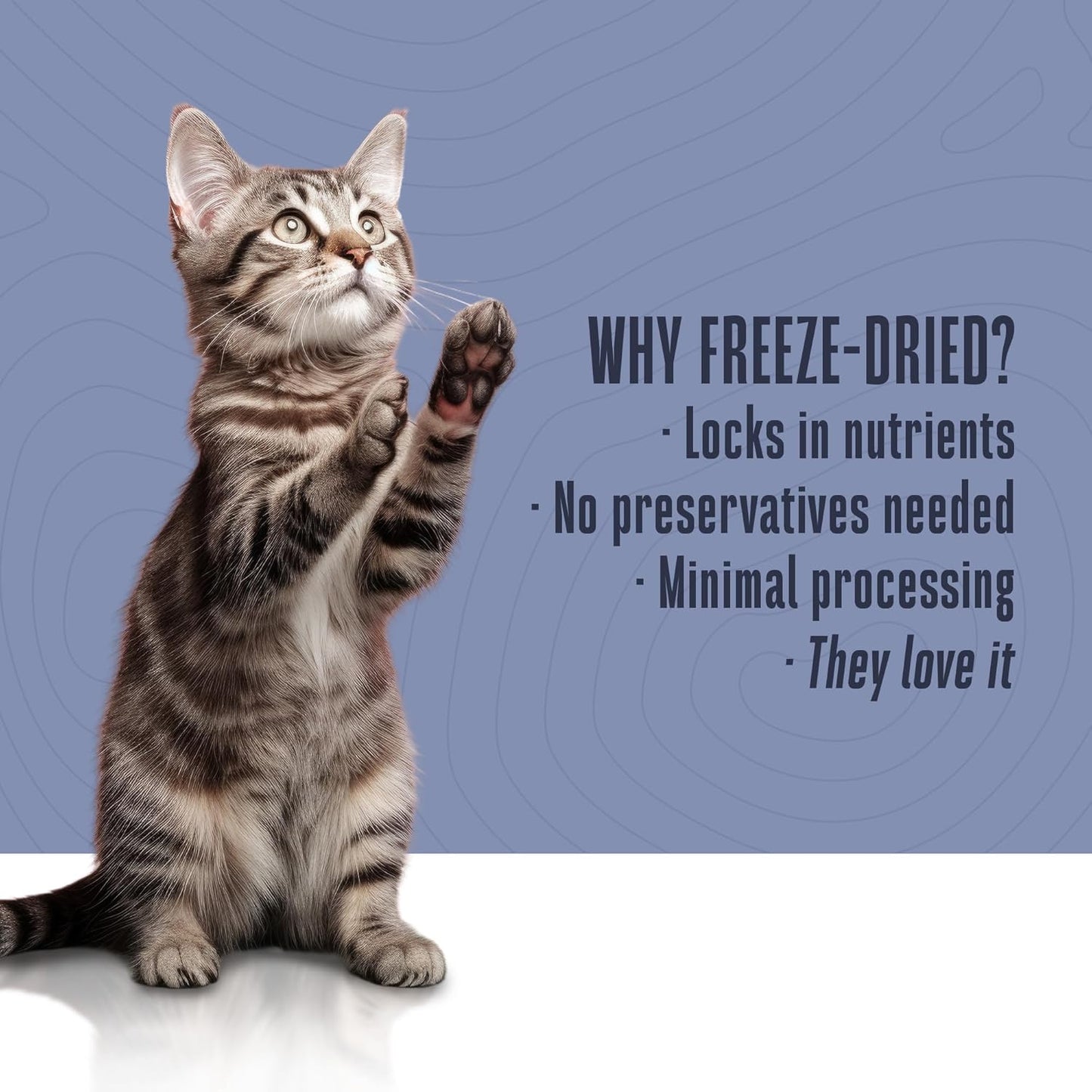 Whole Life Cat Freeze Dried Cat Food - Human-Grade Wet Food Toppers & Complement, Natural Broth, Hydrating Snacks, Lickable Treats, Just Add Water – Shredded Chicken, 3 Oz