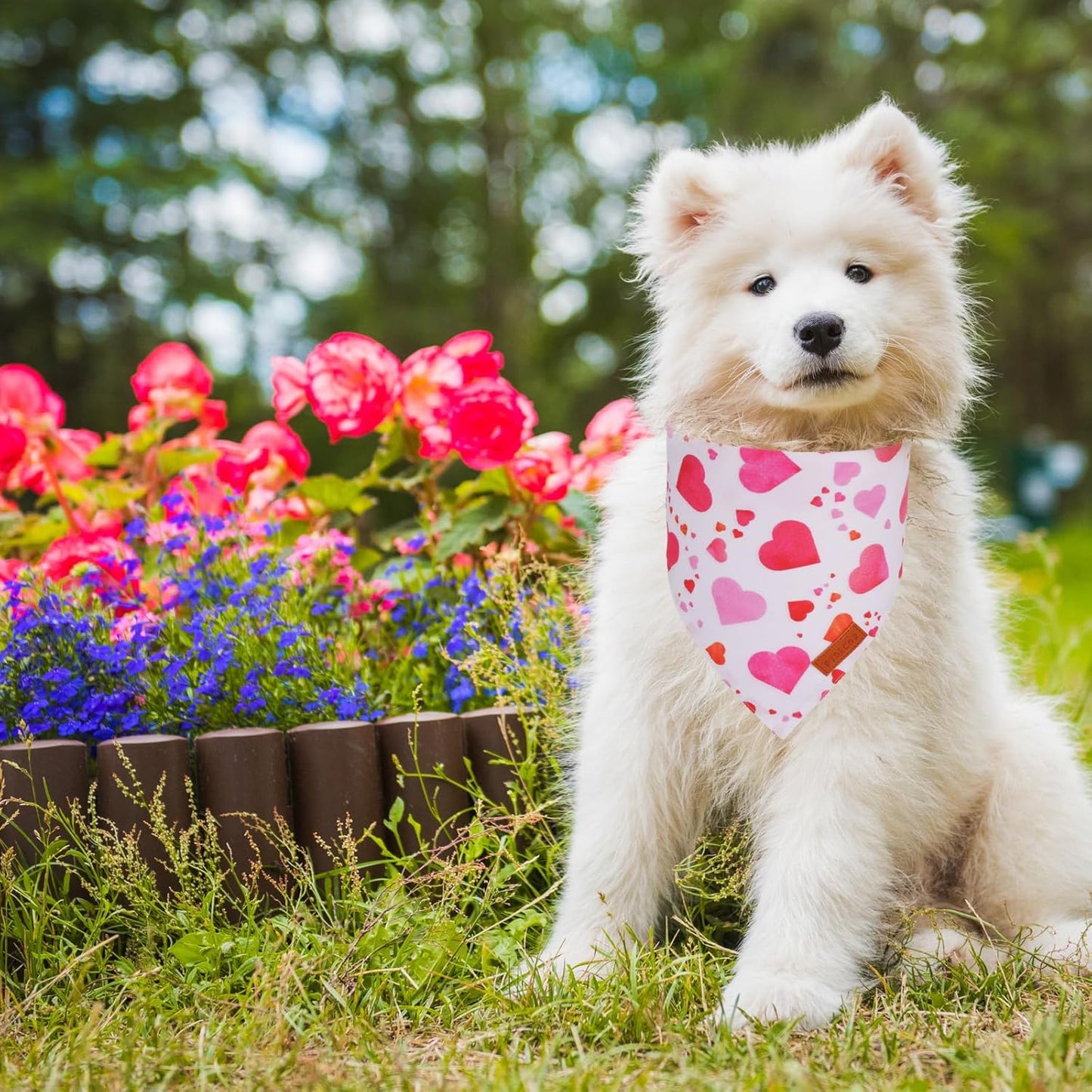 PTDECOR Valentine Dog Bandana, White Purple Love Heart Design Reversible Dog Scarf, Triangle Valentine Bandanas for Small Pets (Small)