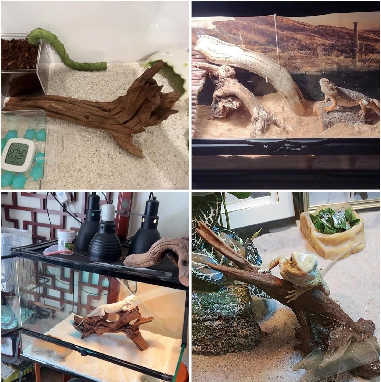 Hamiledyi Reptile Driftwood Decoration Natural Coral Driftwood Branches for Aquarium Reptiles Trunk Log Ornament Bendable Jungle Climbing Vines Decor for Bearded Dragon Lizad Amphibian Fish Tank