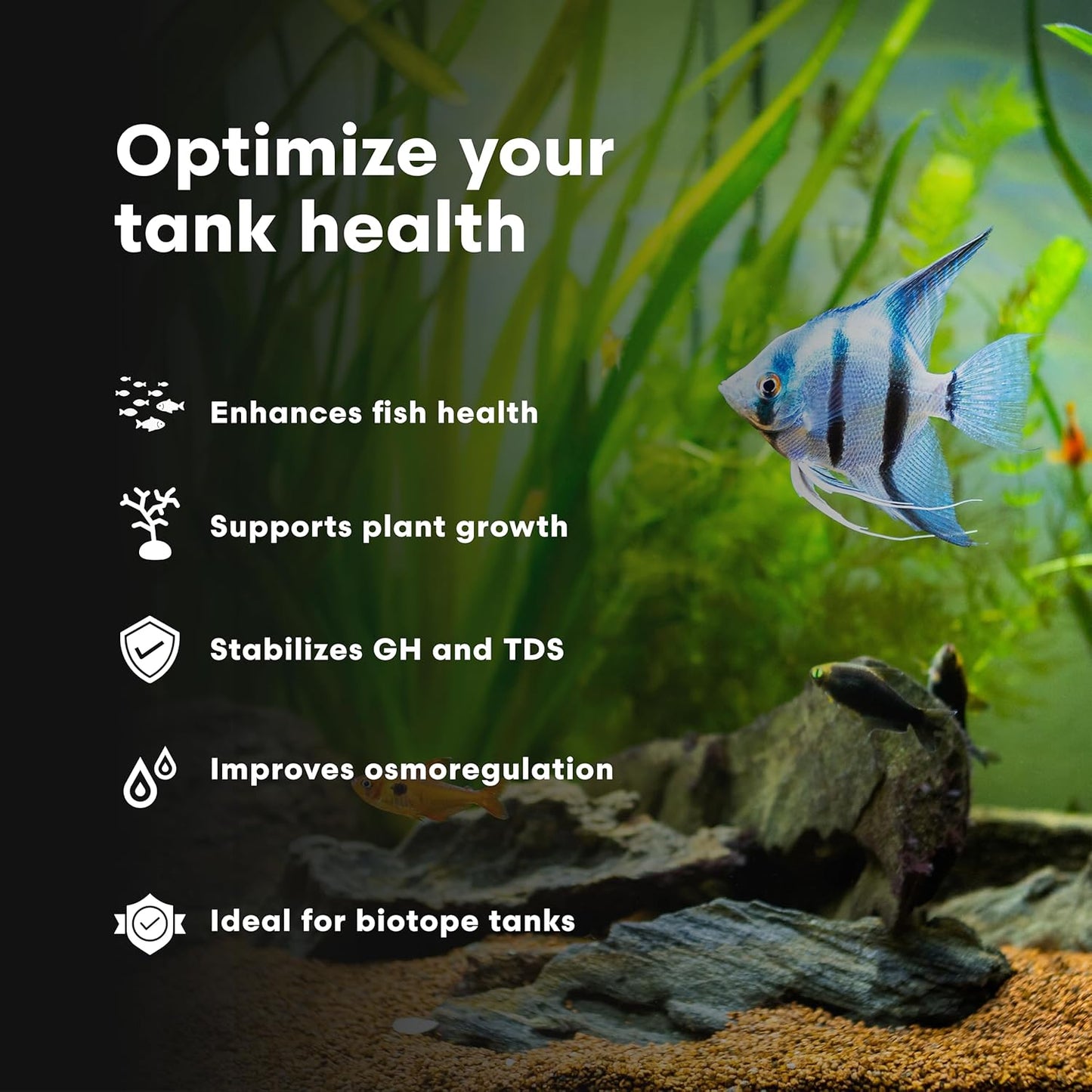 Brightwell Aquatics Remineralīz-P – Restores GH & TDS for Freshwater Aquariums, Replenishes Essential Minerals for RO & Distilled Water, Supports Fish & Plant Health, 20kg