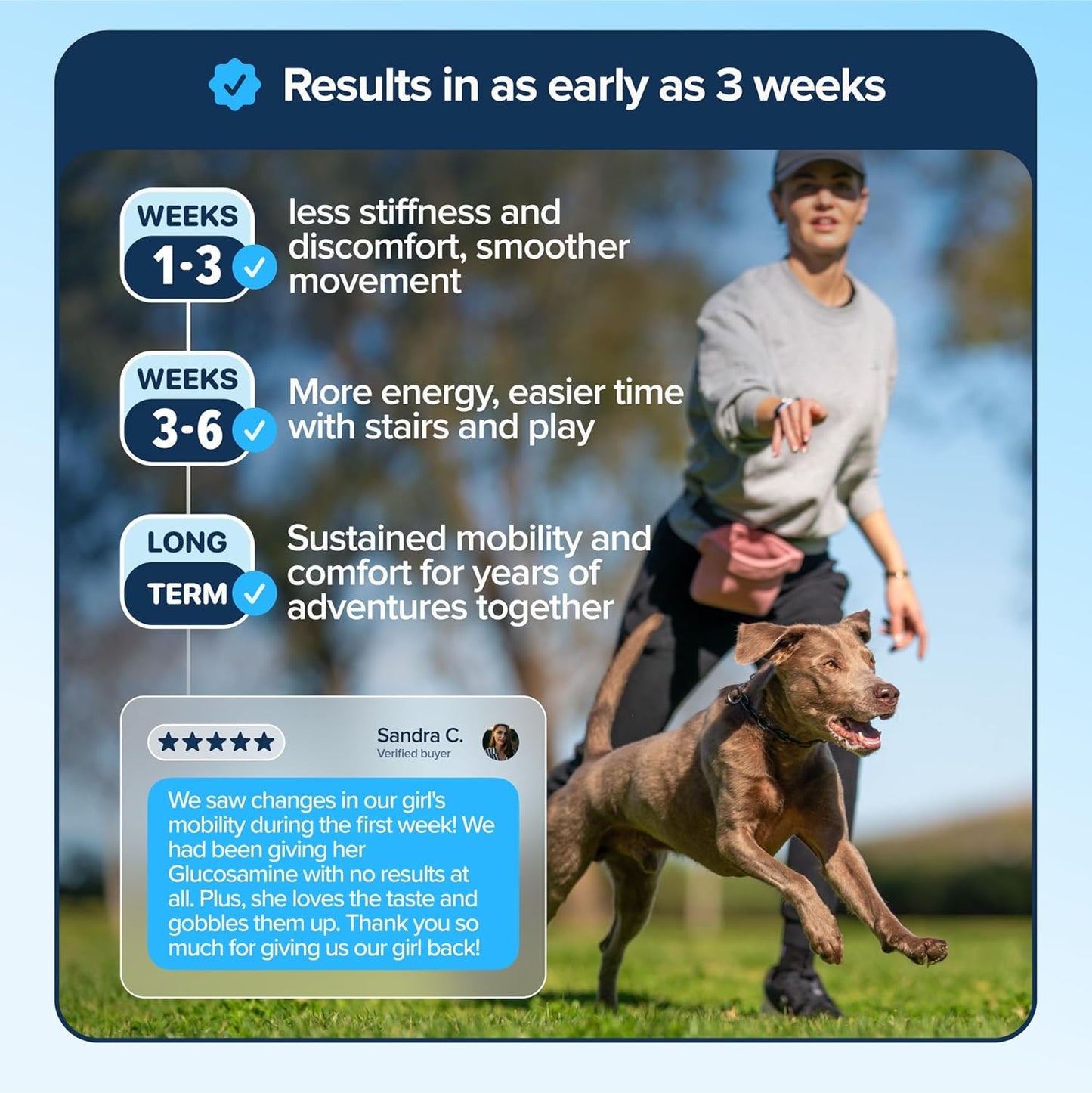 PupFlex+ Hip and Joint Supplement Dogs, Vet Created Soft Chews with UC-II® Collagen for Dogs, CurcuVET® & Omega 3, Proven More Effective Than Glucosamine Chondroitin, Dog Joint Supplement (60 ct)