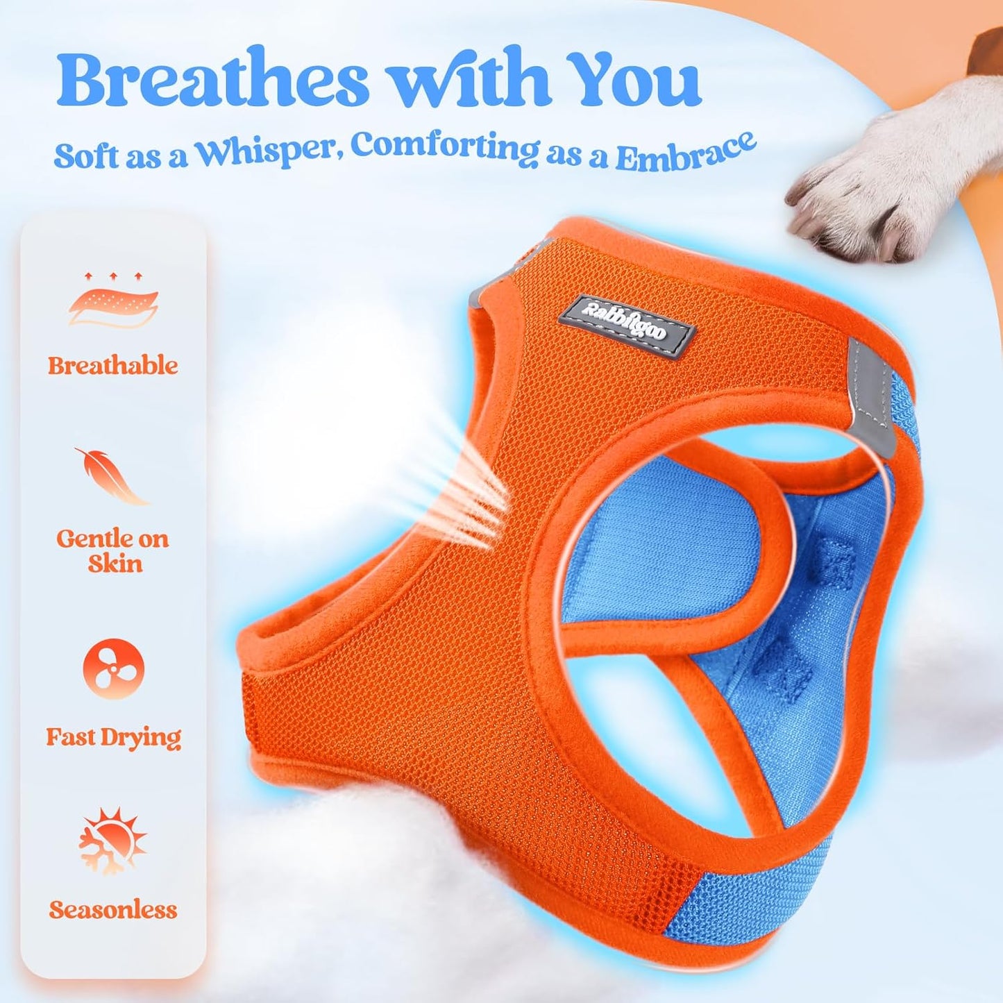 rabbitgoo Dog Harness Small Sized and Leash Set, Step in Soft Light Puppy Vest, Breathable Mesh Pet Harness, Reflective for Safe Easy Walking, Blue & Orange XXXS