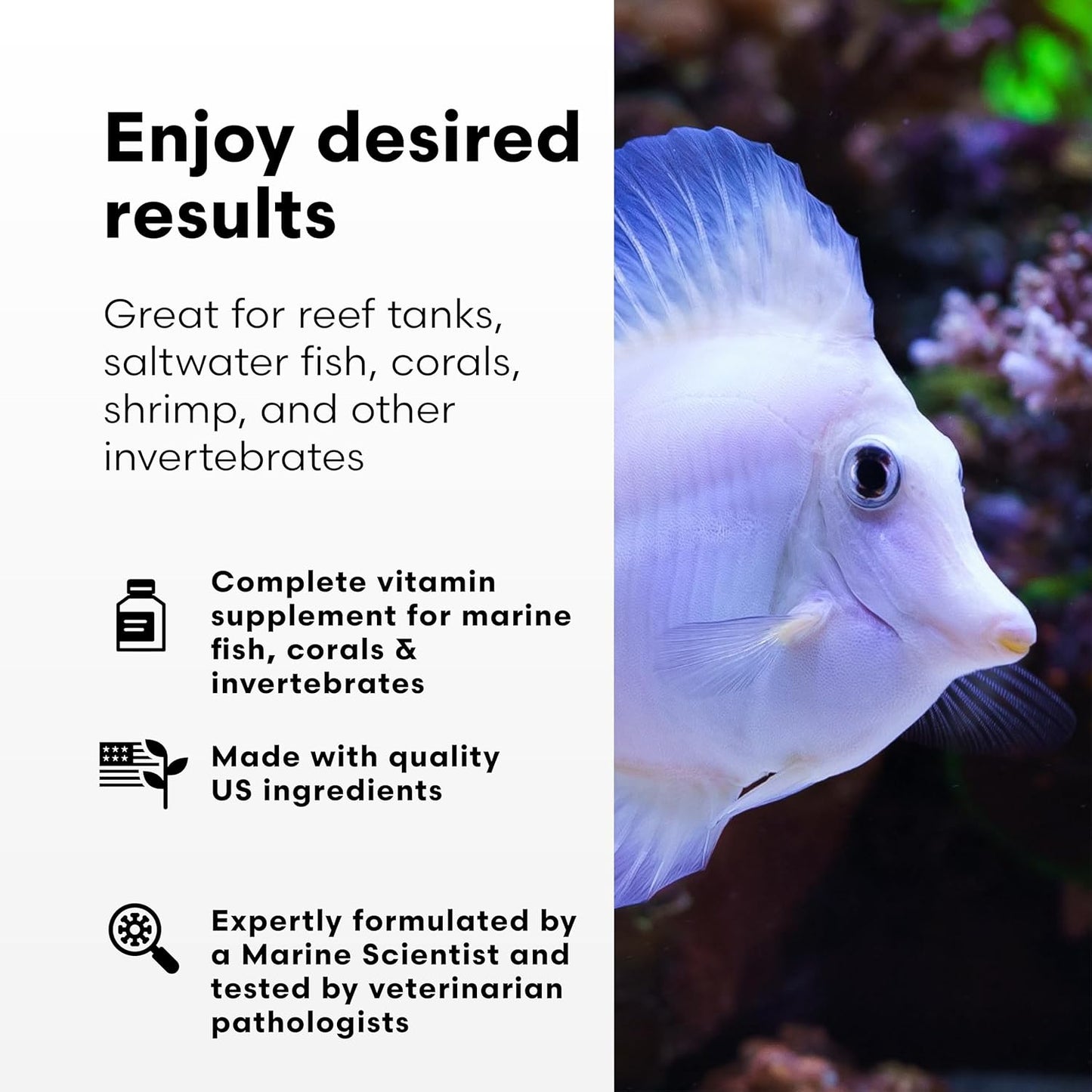 Brightwell Aquatics Vitamarin-M – Complete Vitamin Supplement for Marine Fish, Corals & Invertebrates – Supports Growth, Color & Immune Health – No Refrigeration, 500 ml