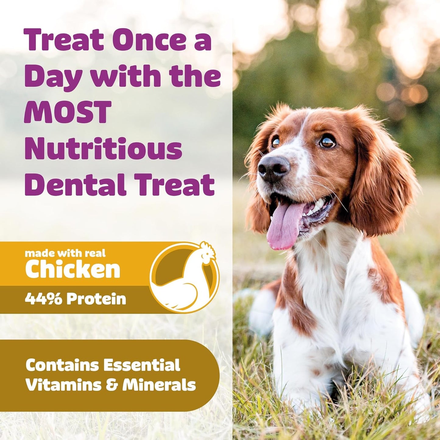 Dog Dental Treats – Vet VOHC Approved – Delicious Chicken Protein – Removes Tartar with Cleaning Comb Shape – Dental Dog Treats for Extra Small Dogs (24oz, 96 Count)