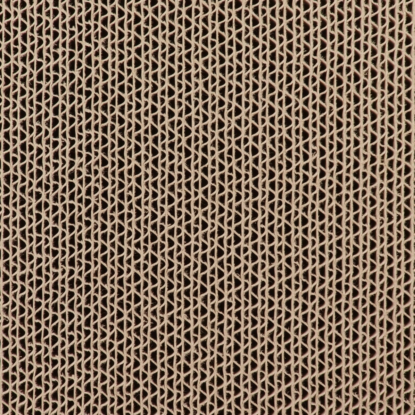 Hide & Scratch: Refill Scratch Pad (2 Pack)