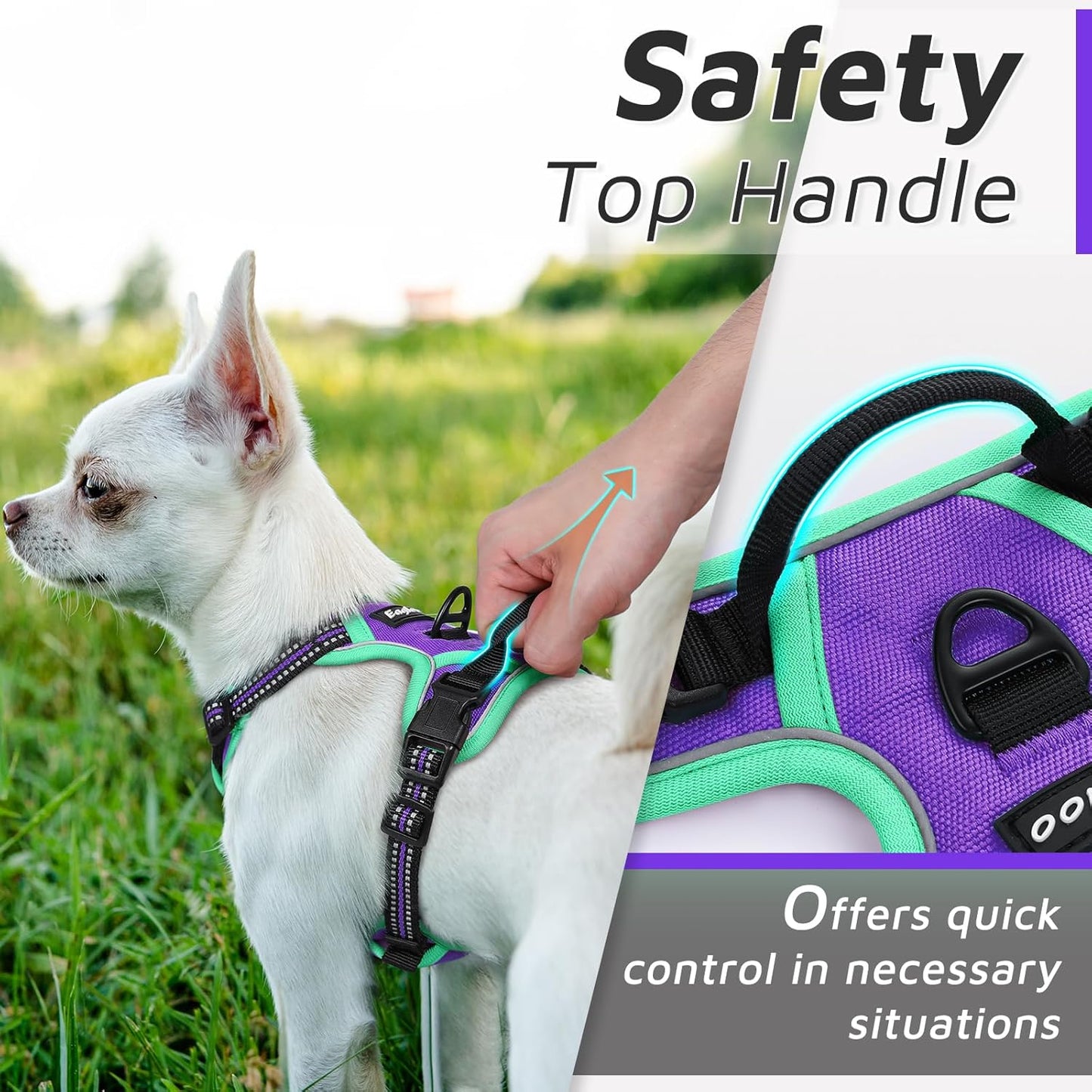 Eagloo Small Dog Harness No Pull, Service Vest with Reflective Strips and Control Handle, Adjustable and Comfortable for Walking, No Choke Pet Harness with 2 Metal Rings, Purple & Green, XS
