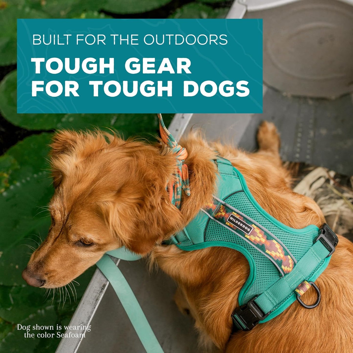 Wilderdog Lightweight Dog Harness with Reflective Straps - Small - Seafoam