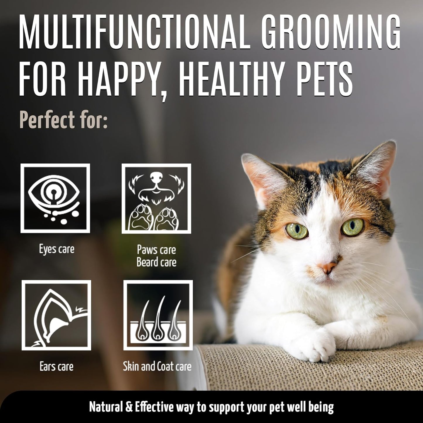 Clear Eyes Solution Set 6in1 Multi-Functional Pure Mist and Stainless Look Clay Mask - Tear Stain Remover, Eye Cleaner - Eye Care Ear Care Grooming Treatment for All Dogs and Cats Eyes